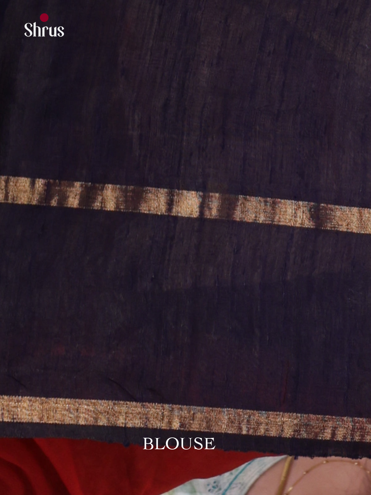 DLS30017 - Raw Silk Saree - Shop on Shrus.com