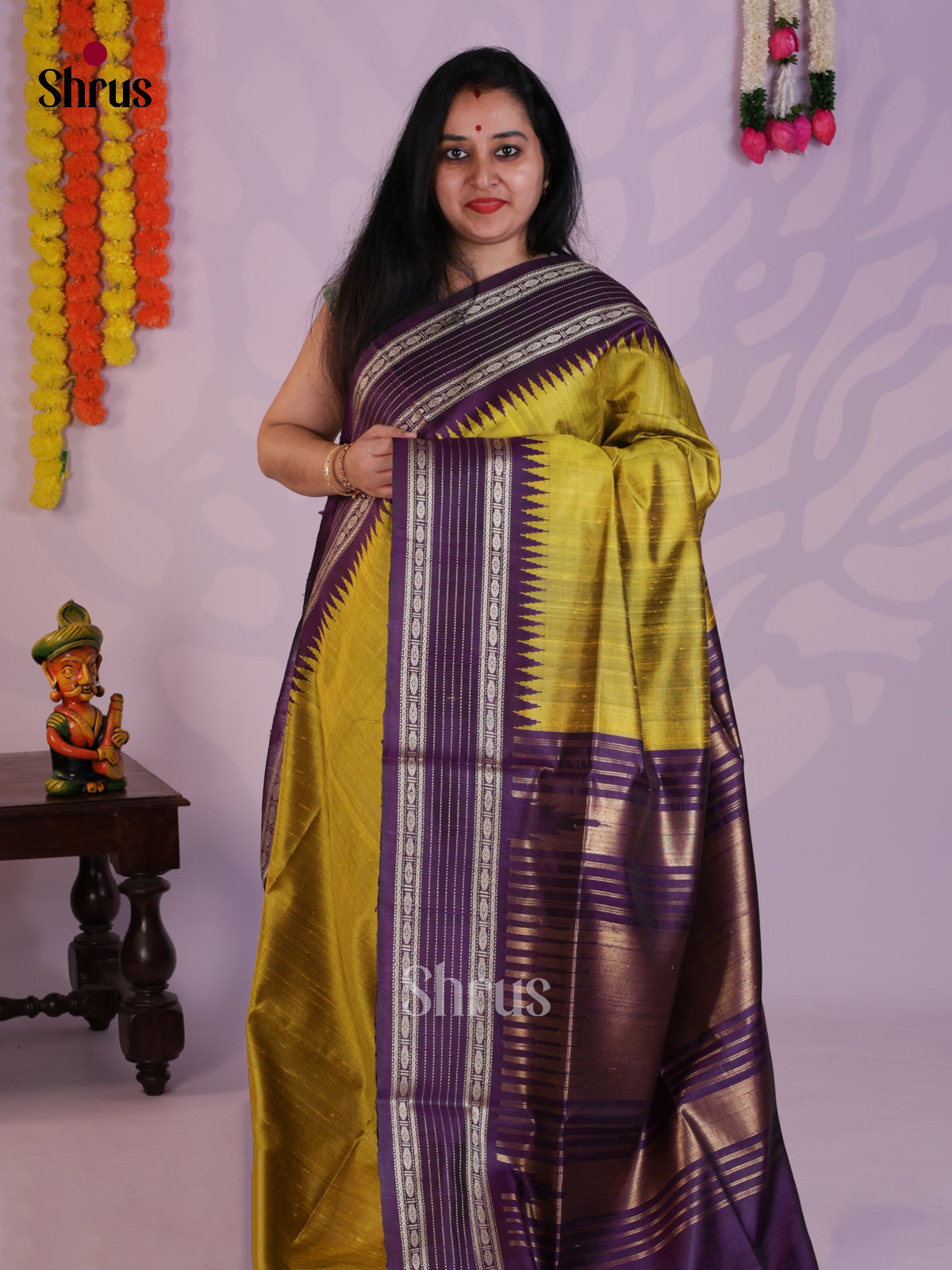 DLS30037 - Raw Silk Saree - Shop on Shrus.com
