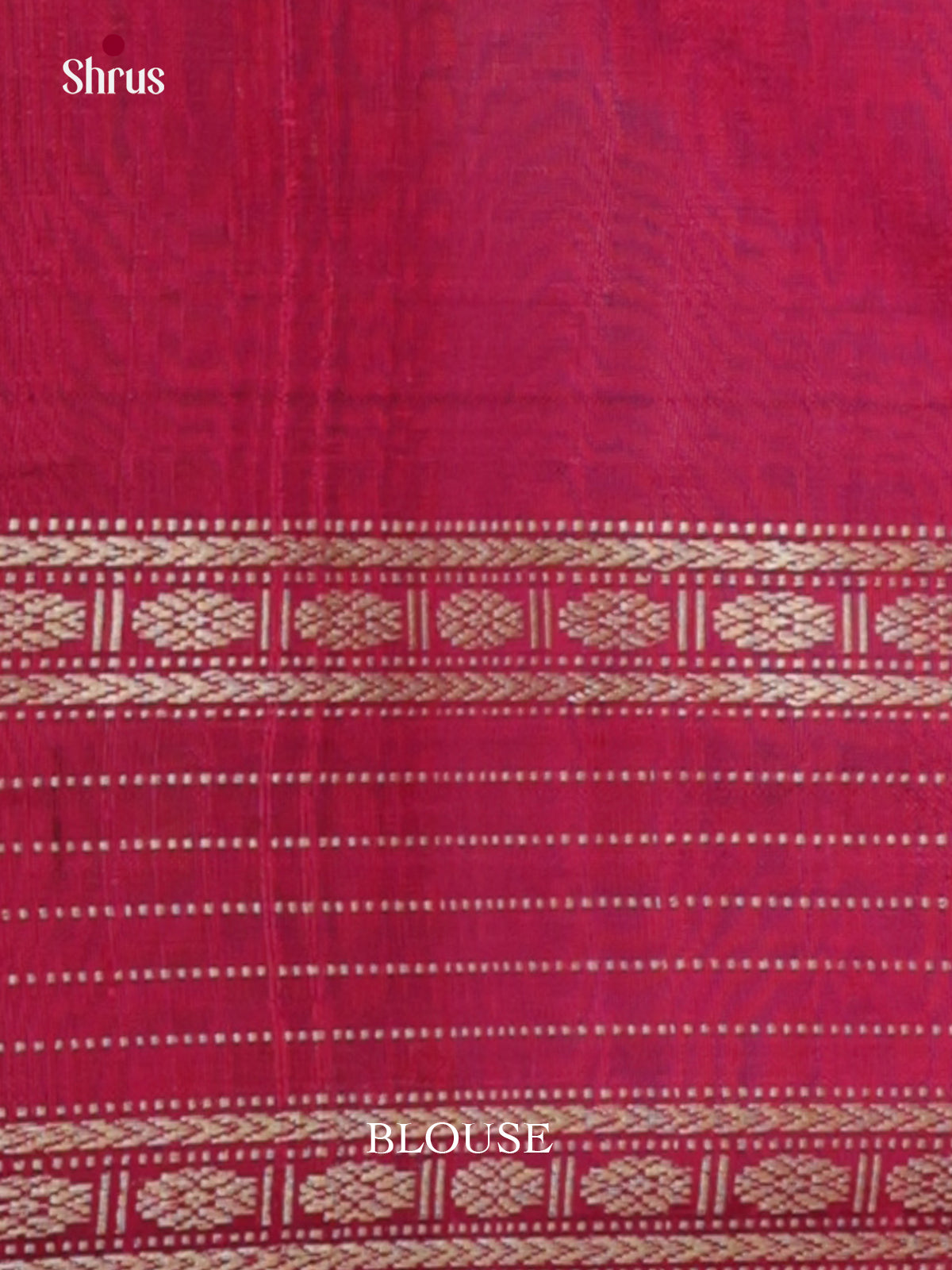 DLS30038 - Raw Silk Saree - Shop on Shrus.com