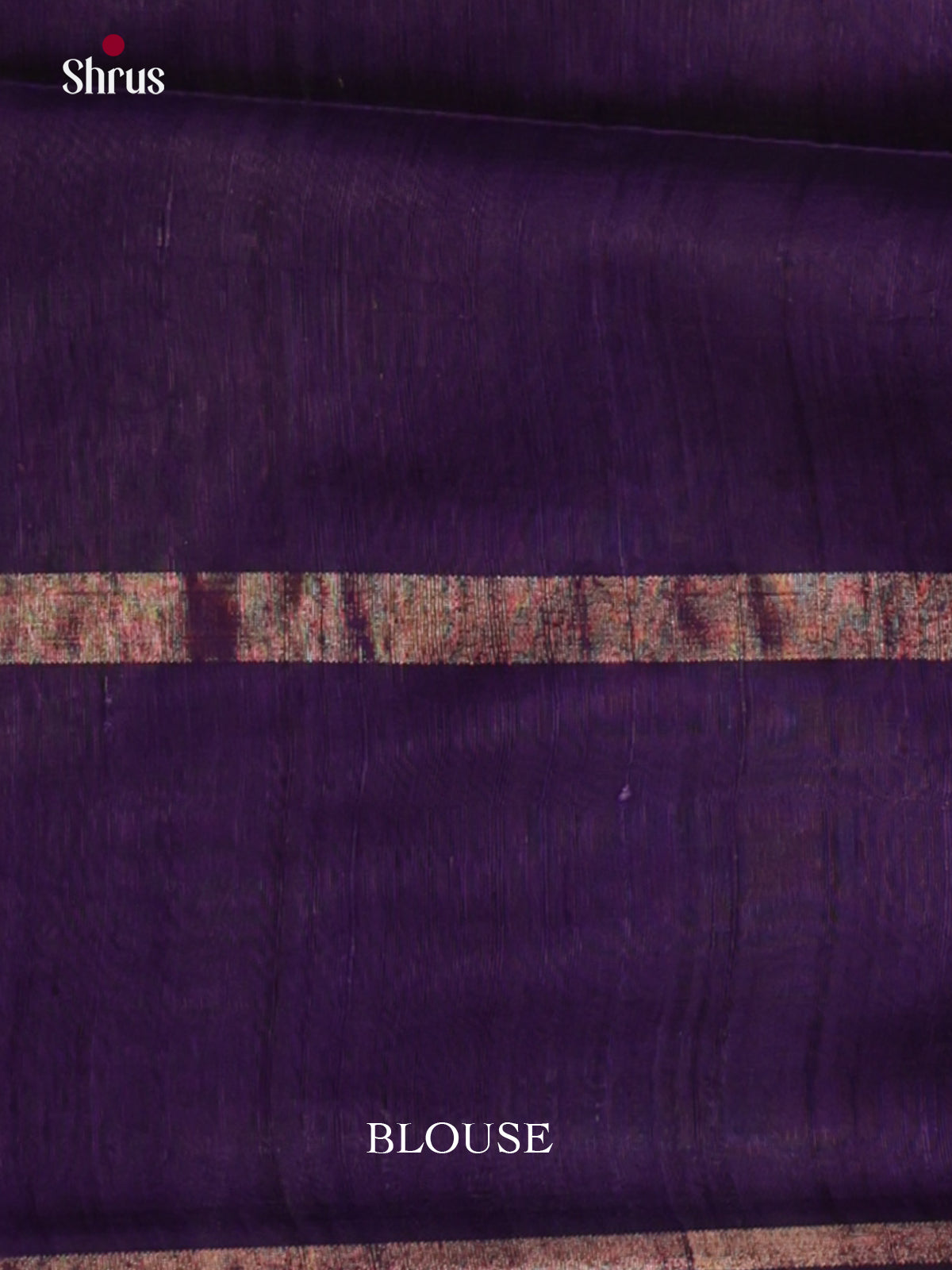DLS30049 - Raw Silk Saree - Shop on Shrus.com