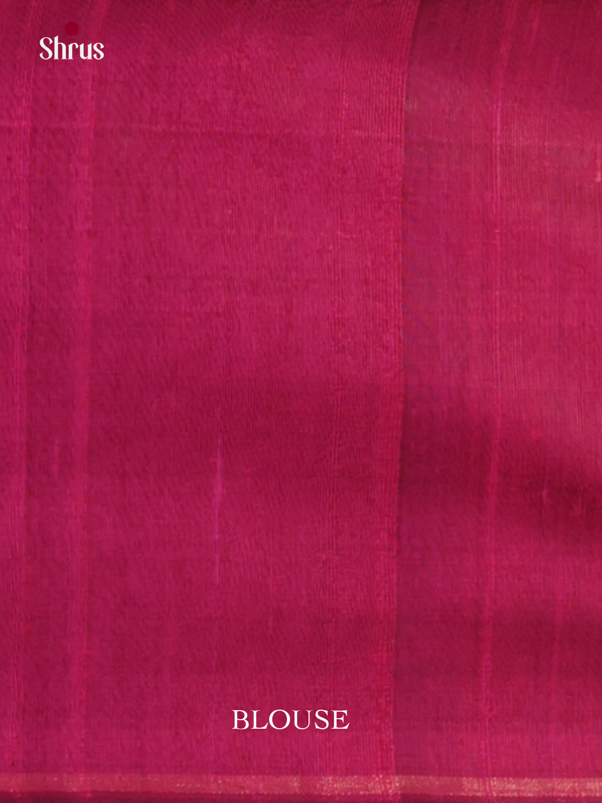 DLS30050 - Raw Silk Saree - Shop on Shrus.com