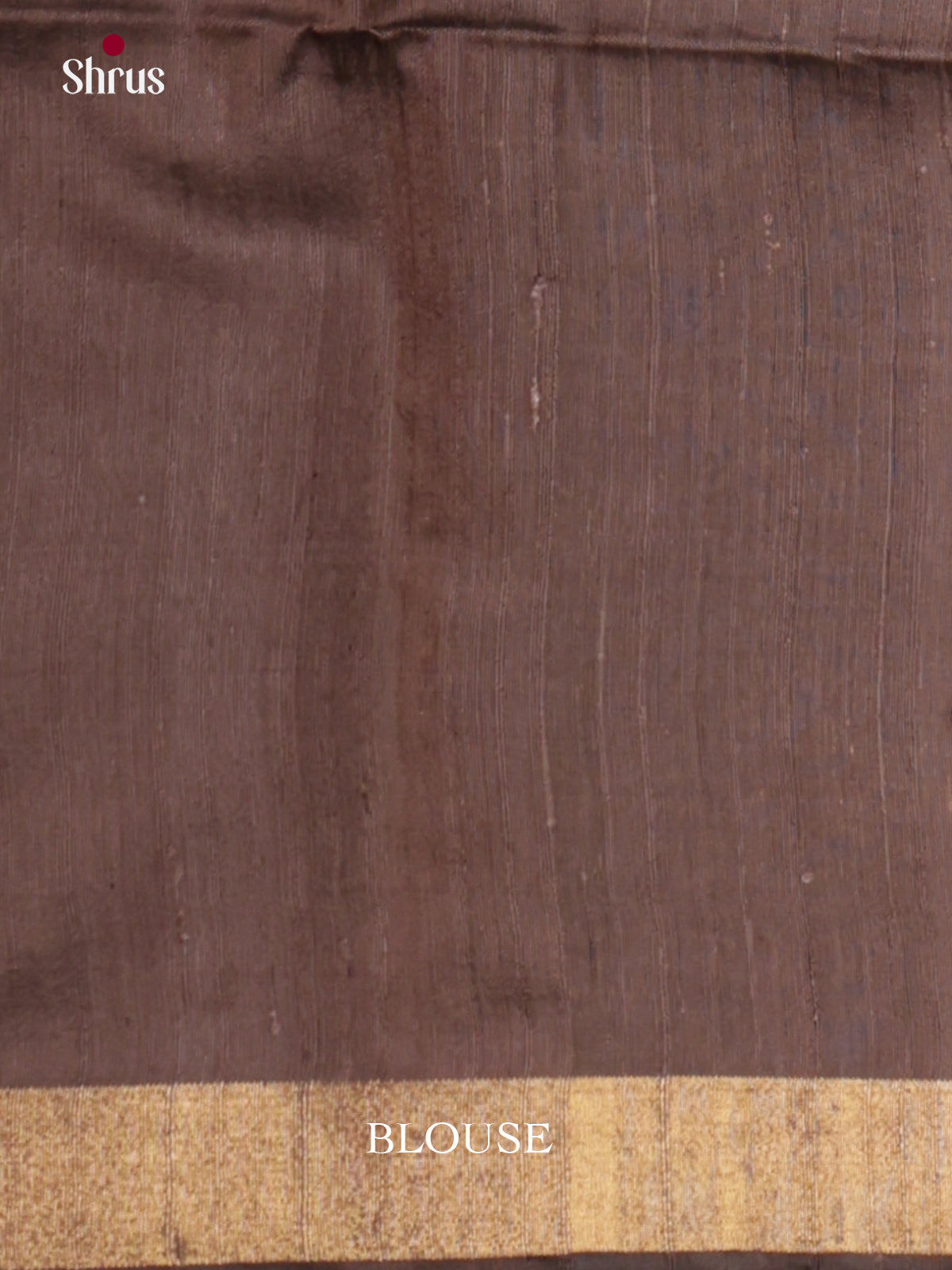 DLS30092 - Raw Silk Saree