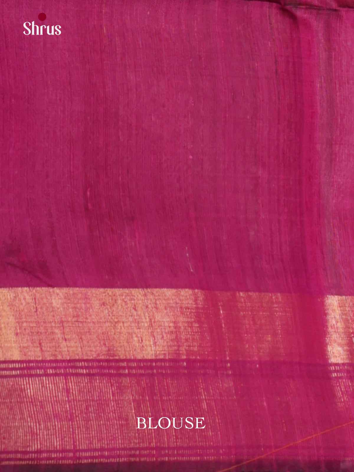 DLS30099 - Raw Silk Saree