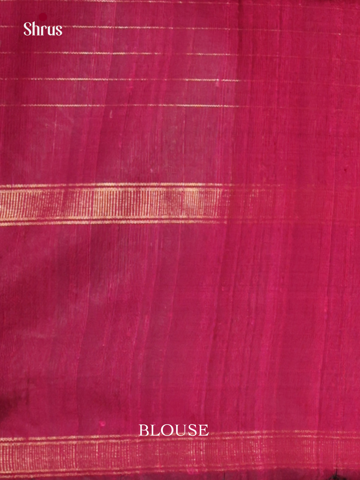 DLS30107 - Raw Silk Saree - Shop on Shrus.com