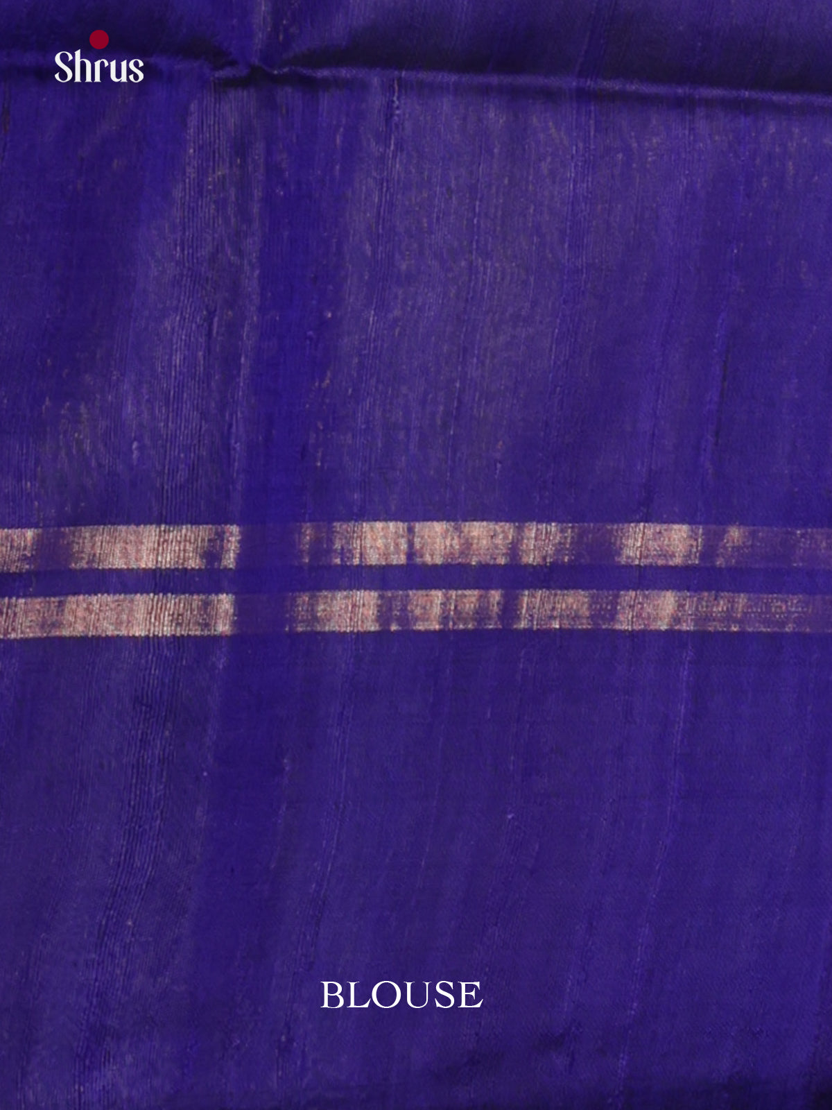 DLS30118 - Raw Silk Saree