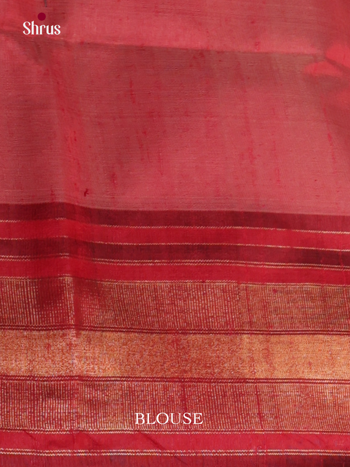 DLS30126 - Raw Silk Saree - Shop on Shrus.com