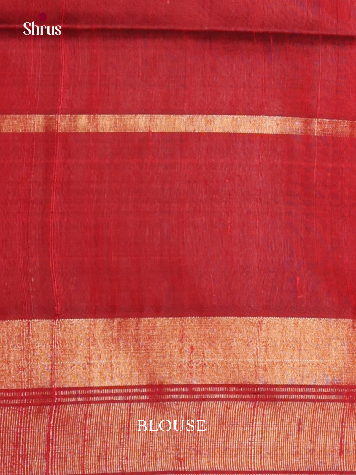 Regal blue & red Raw Silk Saree with cotrast zari border - DLS30129