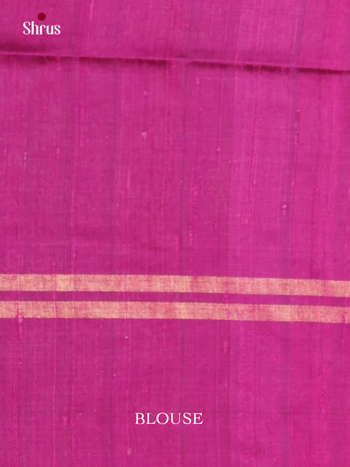 DLS30137 - Raw Silk Saree