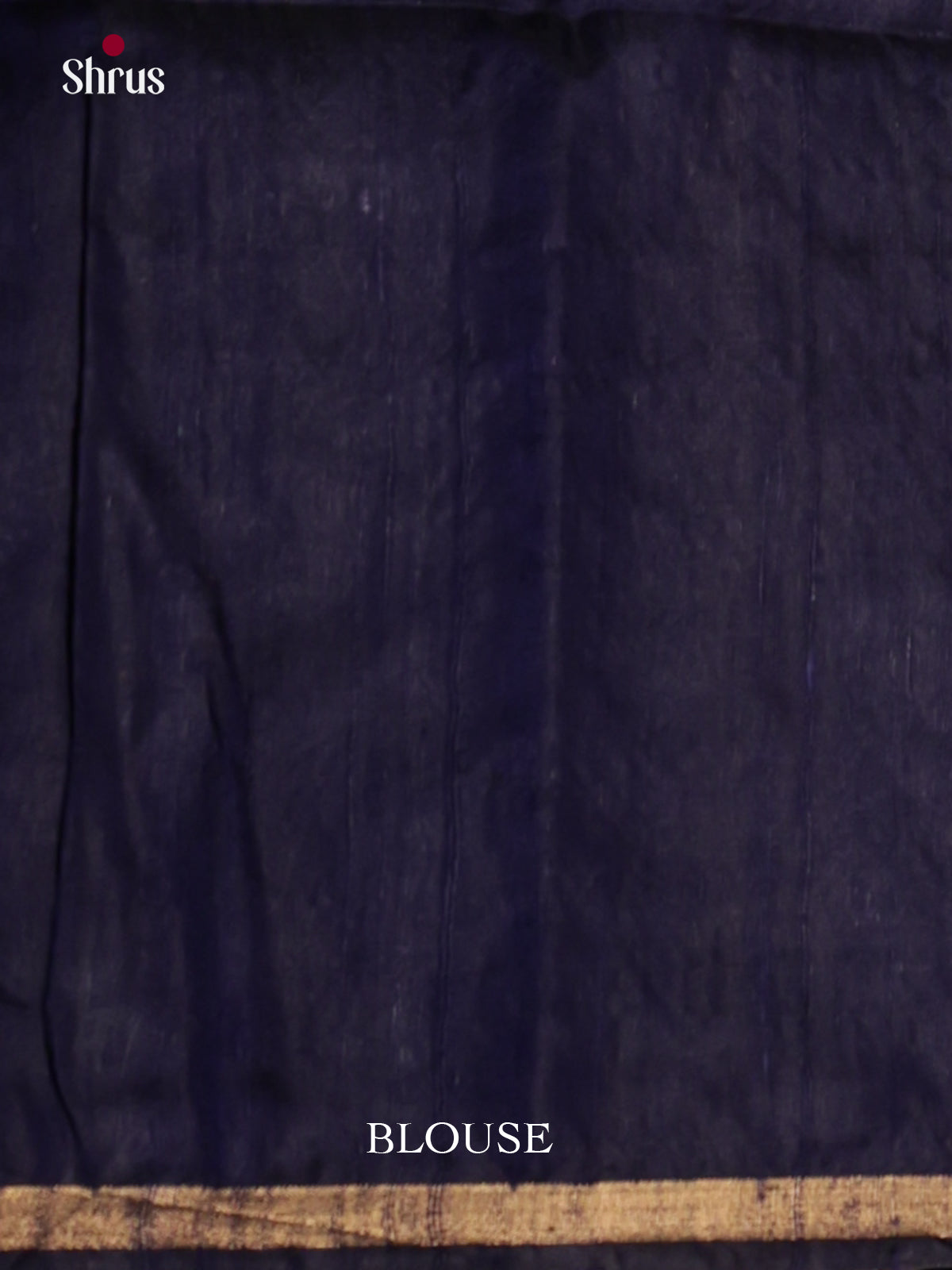 Vibrant Blue & Navy Blue  Raw Silk Saree with contrast temple border - DLS30152