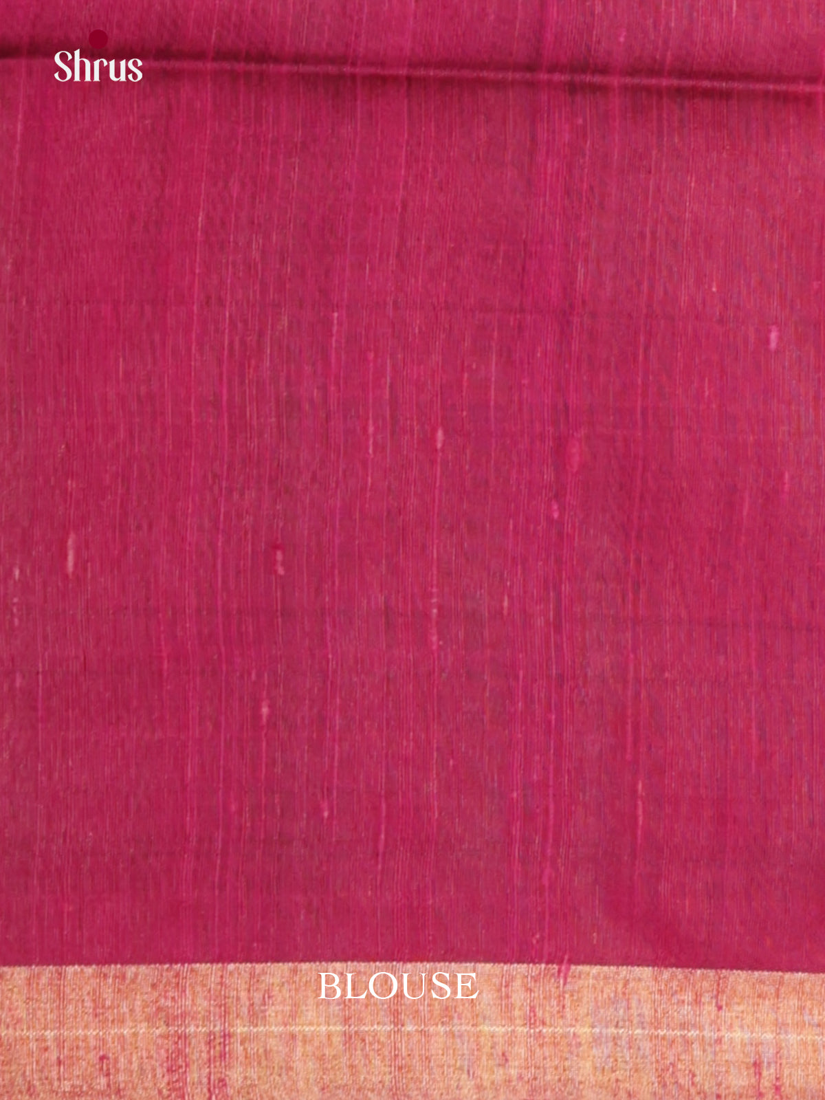 DLS30169 - Raw Silk Saree