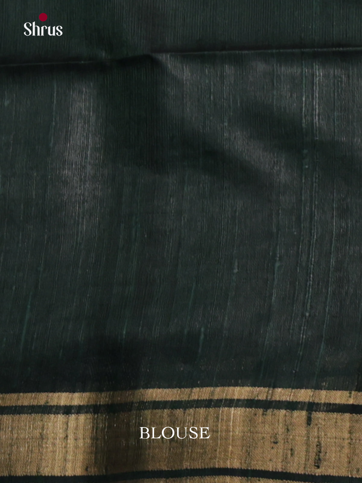DLS30179 - Raw Silk Saree