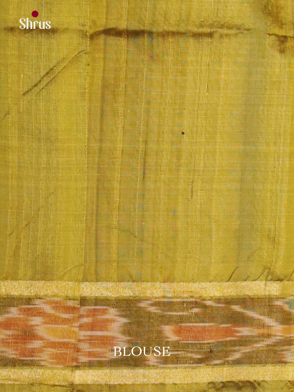 DLS30191 - Raw Silk Saree