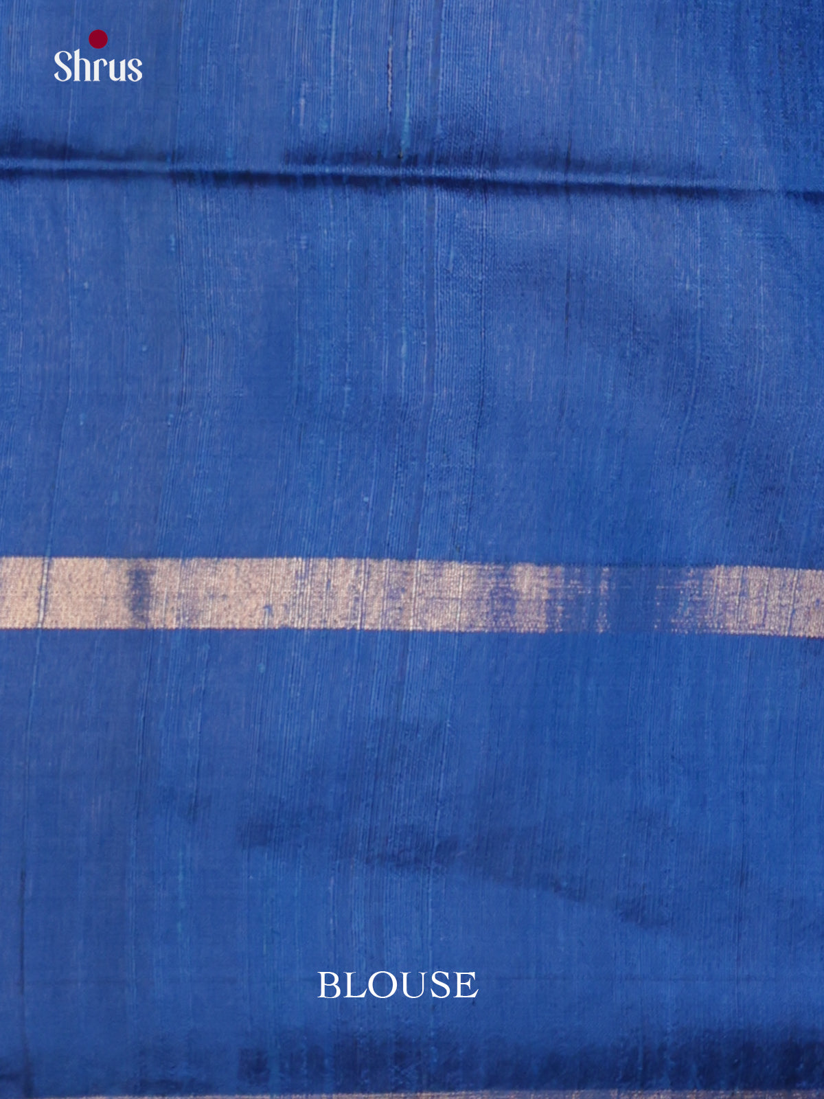 DLS30201 - Raw Silk Saree