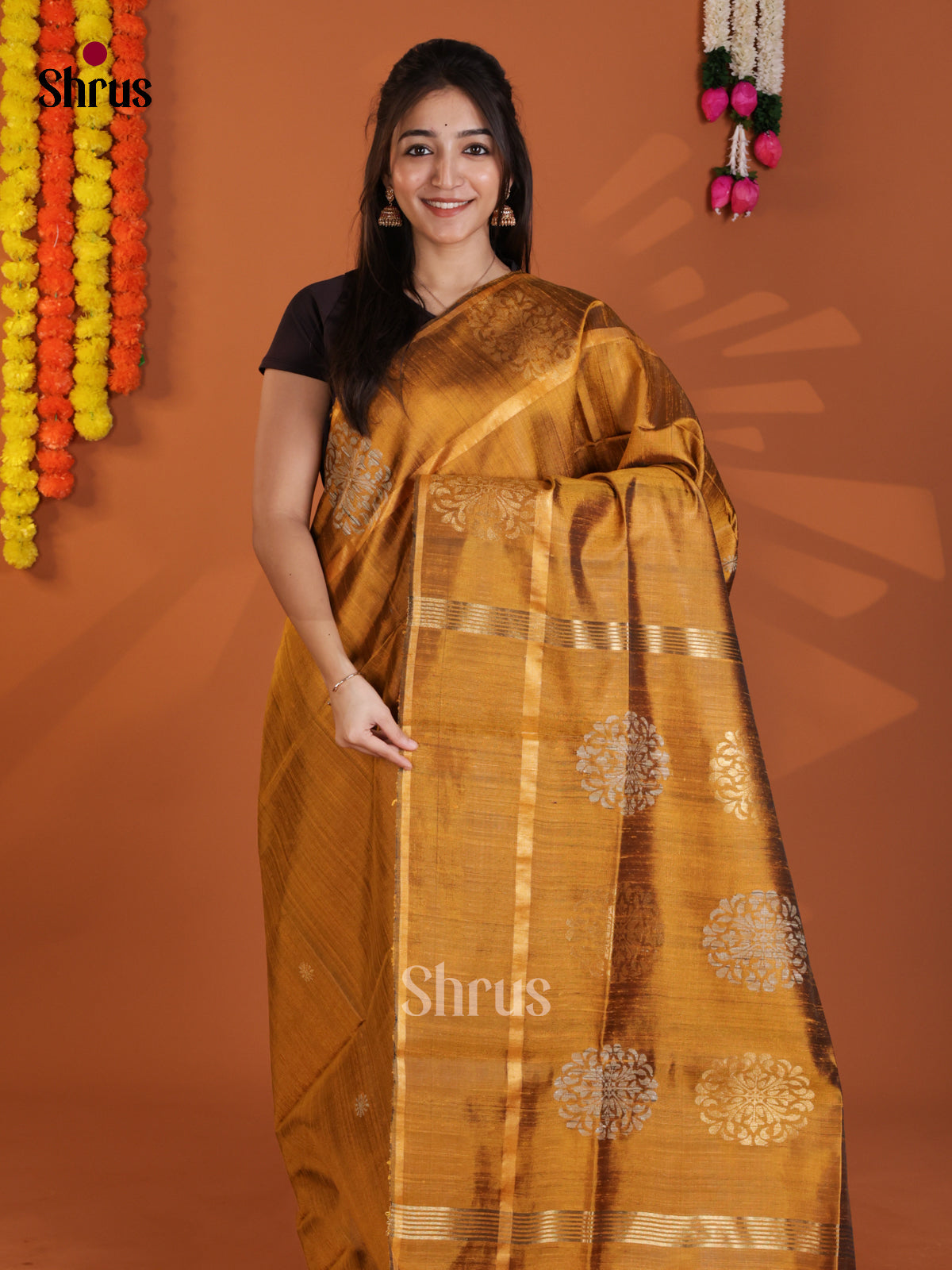 DLS30203 - Raw Silk Saree
