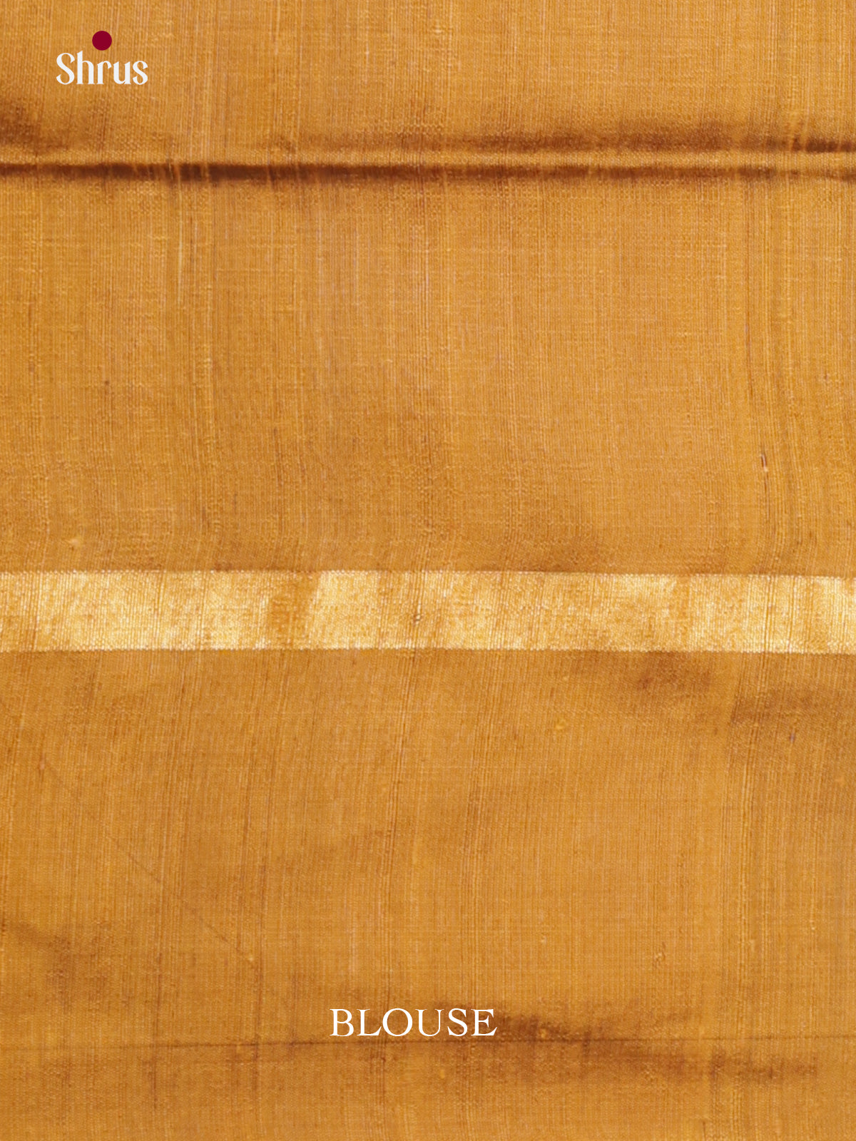 DLS30203 - Raw Silk Saree