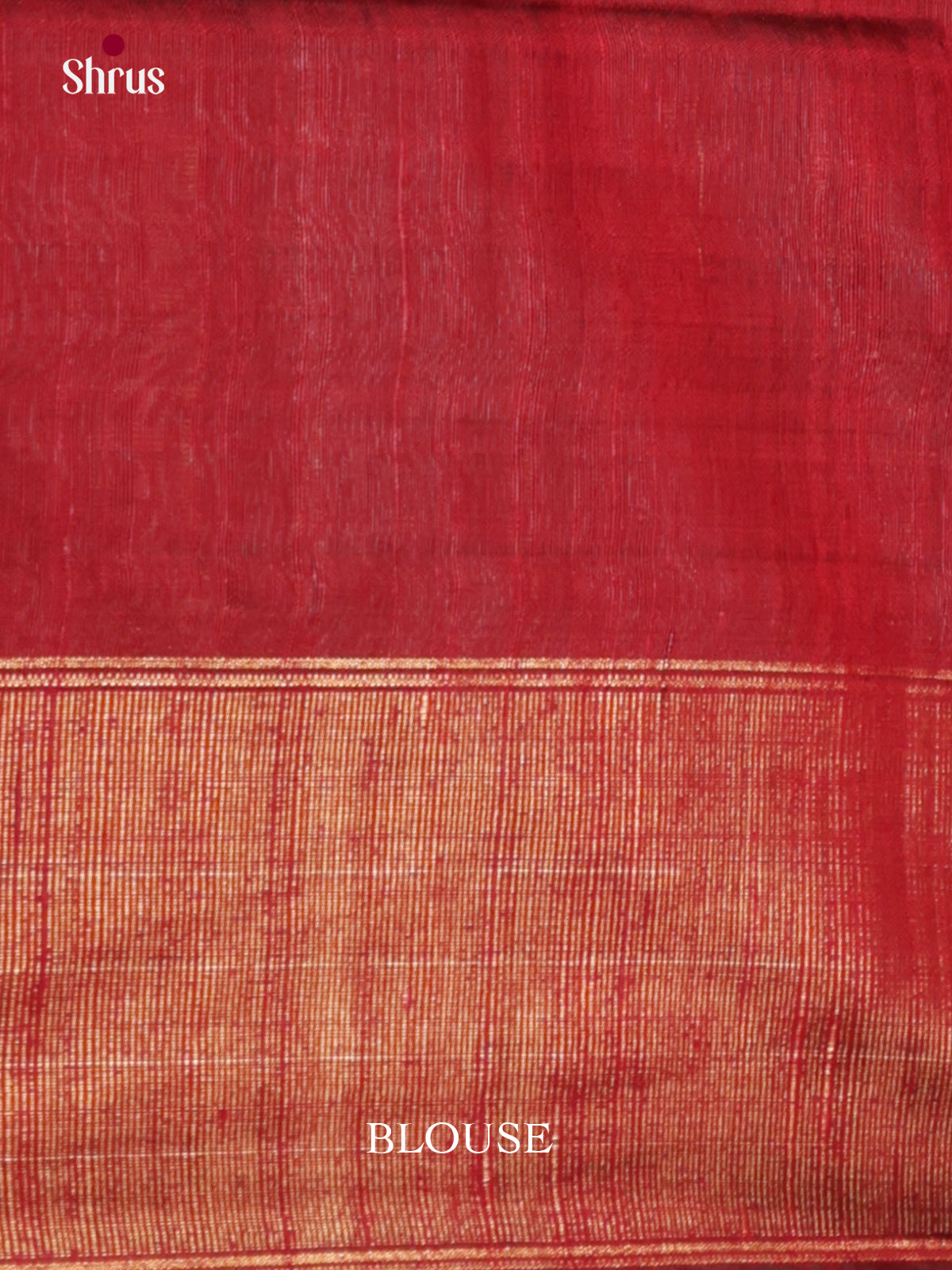 DLS30211 - Raw Silk Saree