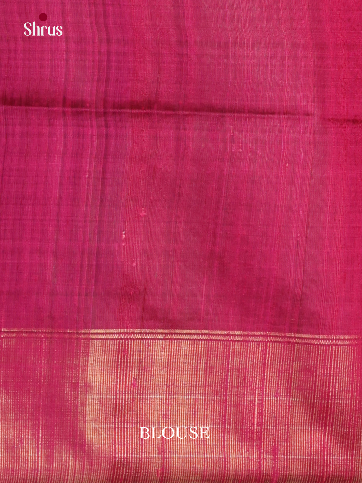 DLS30216 - Raw Silk Saree - Shop on Shrus.com