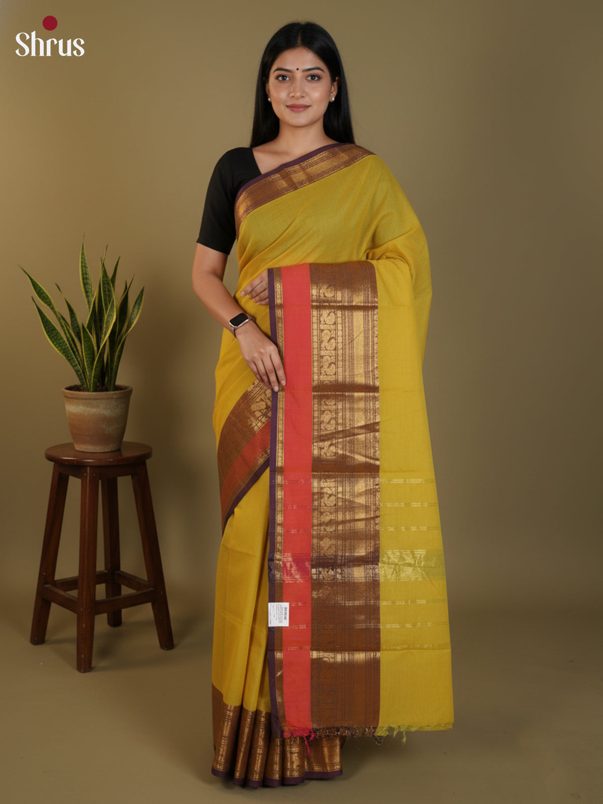 Mustardy Green & Purple- Chettinad Cotton Saree - DLS30280 - Shop on Shrus.com