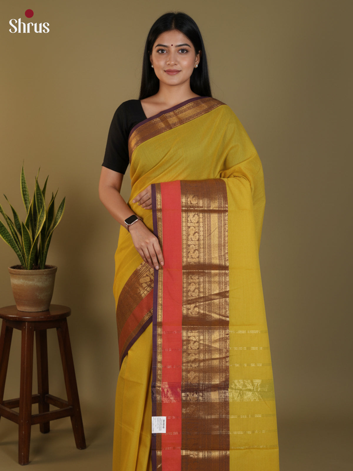 Mustardy Green & Purple- Chettinad Cotton Saree - DLS30280 - Shop on Shrus.com