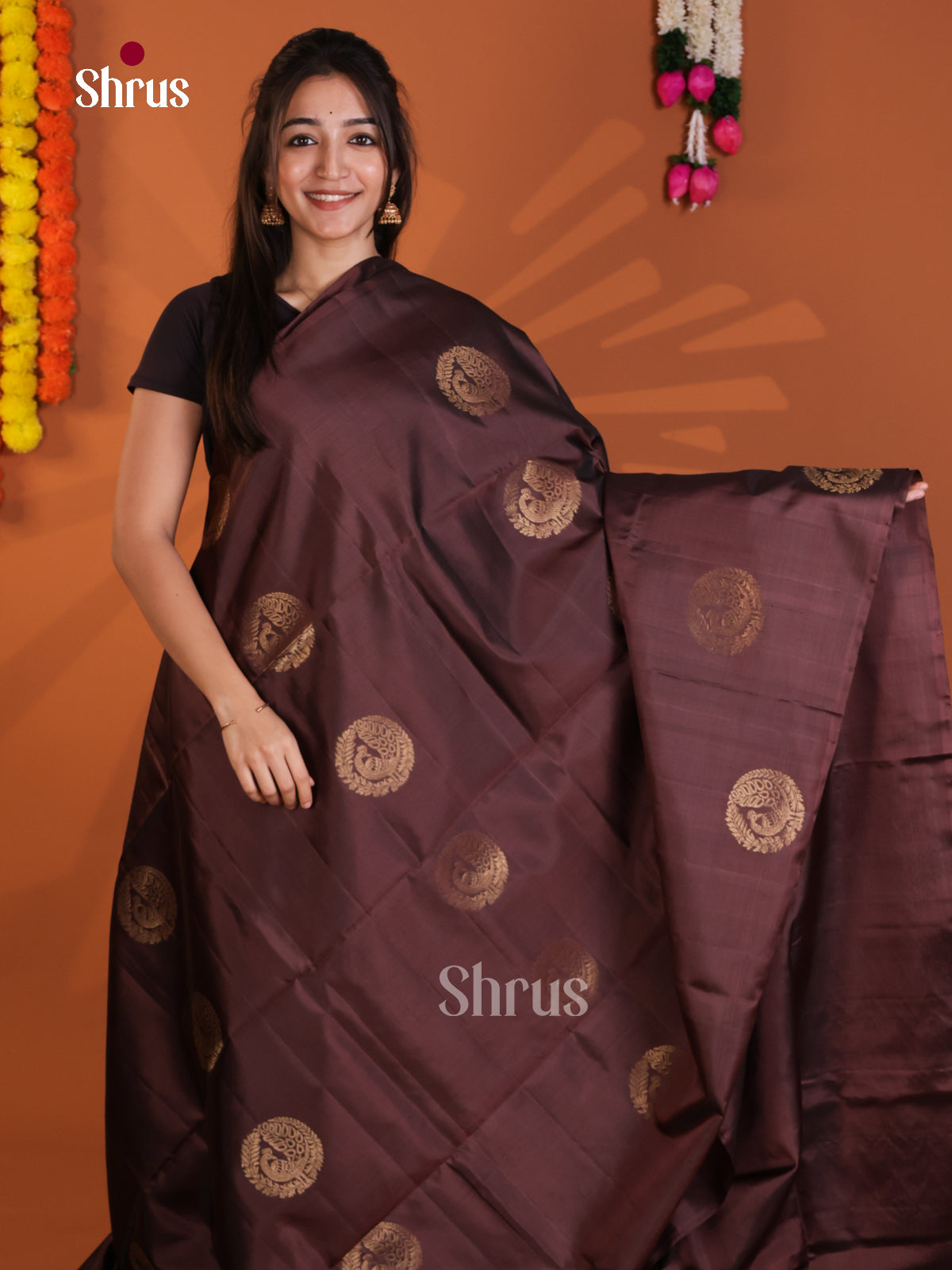 Enchanting Brown Soft Silk Saree with zari peacock motifs - Shop on Shrus.com