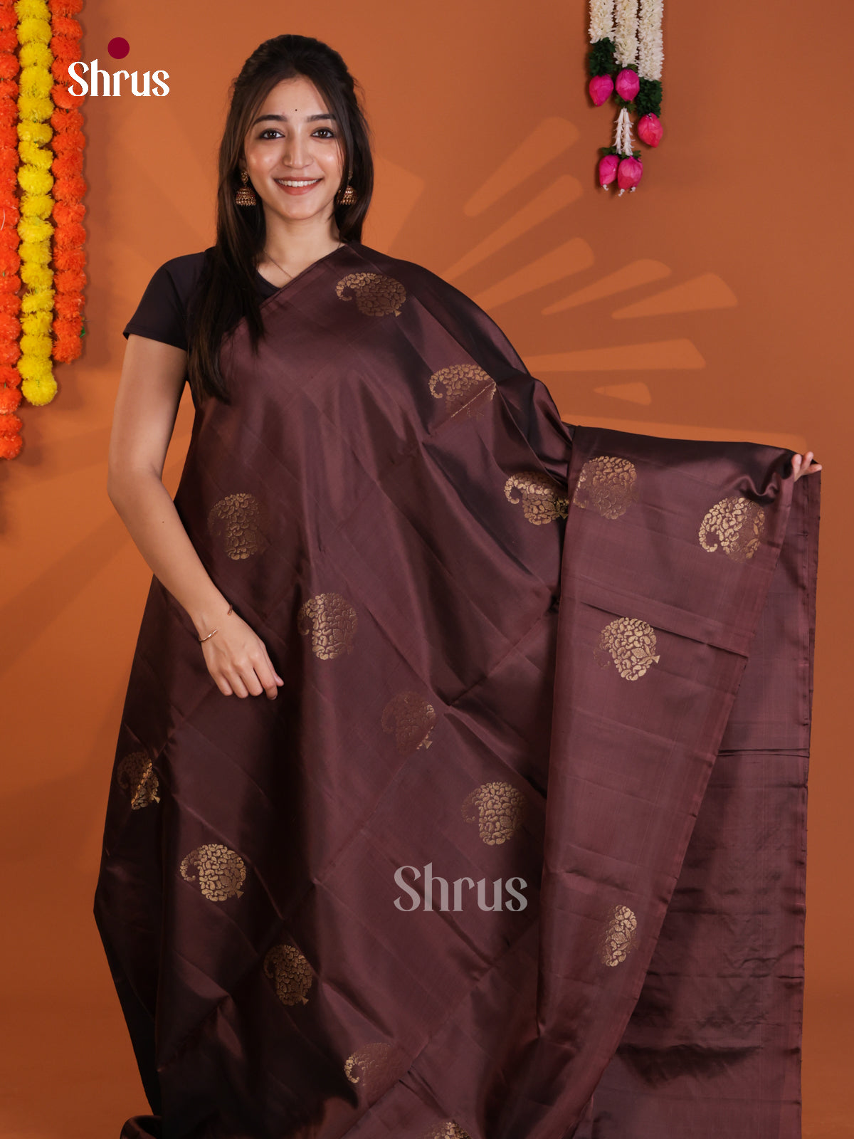 Pretty Brown Soft Silk Saree with gold zari paisleys motifs & wavy brocade pallu - Shop on Shrus.com