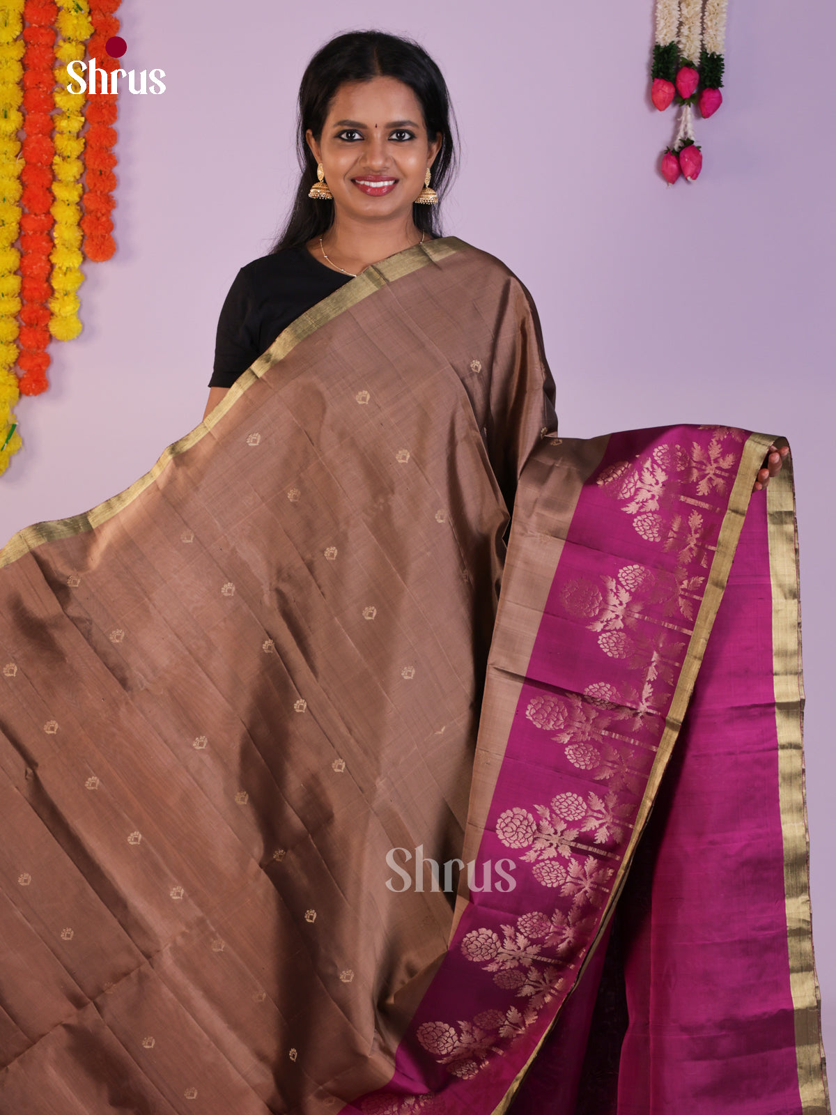 Light Brown & Purple Soft Silk  Saree with zari  buttas & Brocade pallu