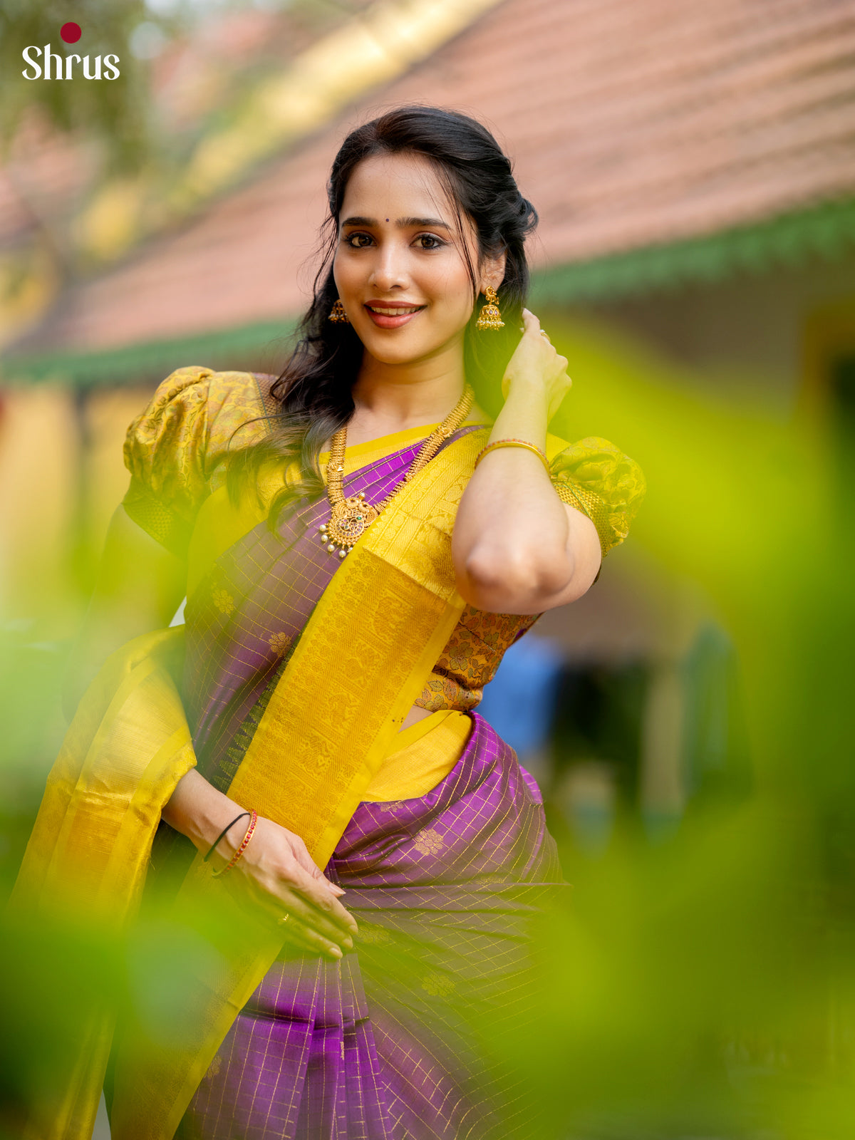 Vadamalli & Yellow - Silk Cotton Saree