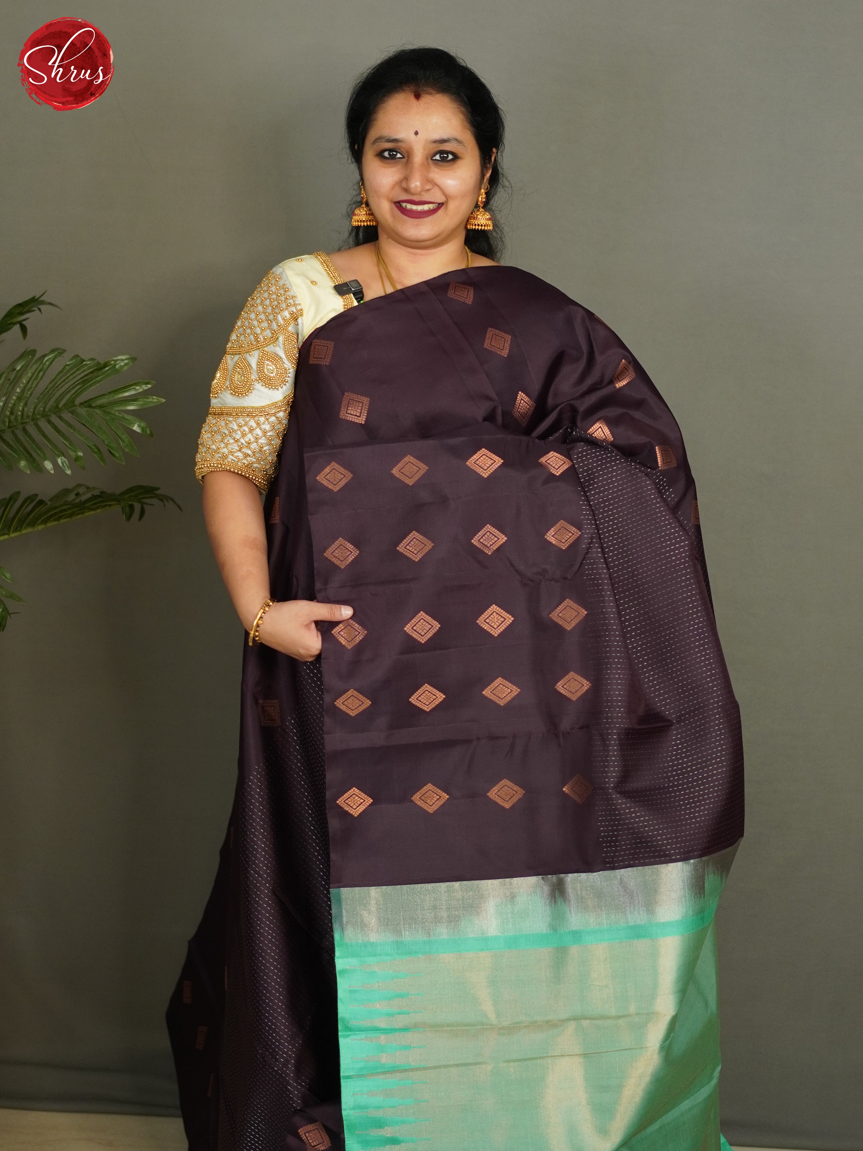 Brown & Green  - Soft Silk Saree - Shop on ShrusEternity.com