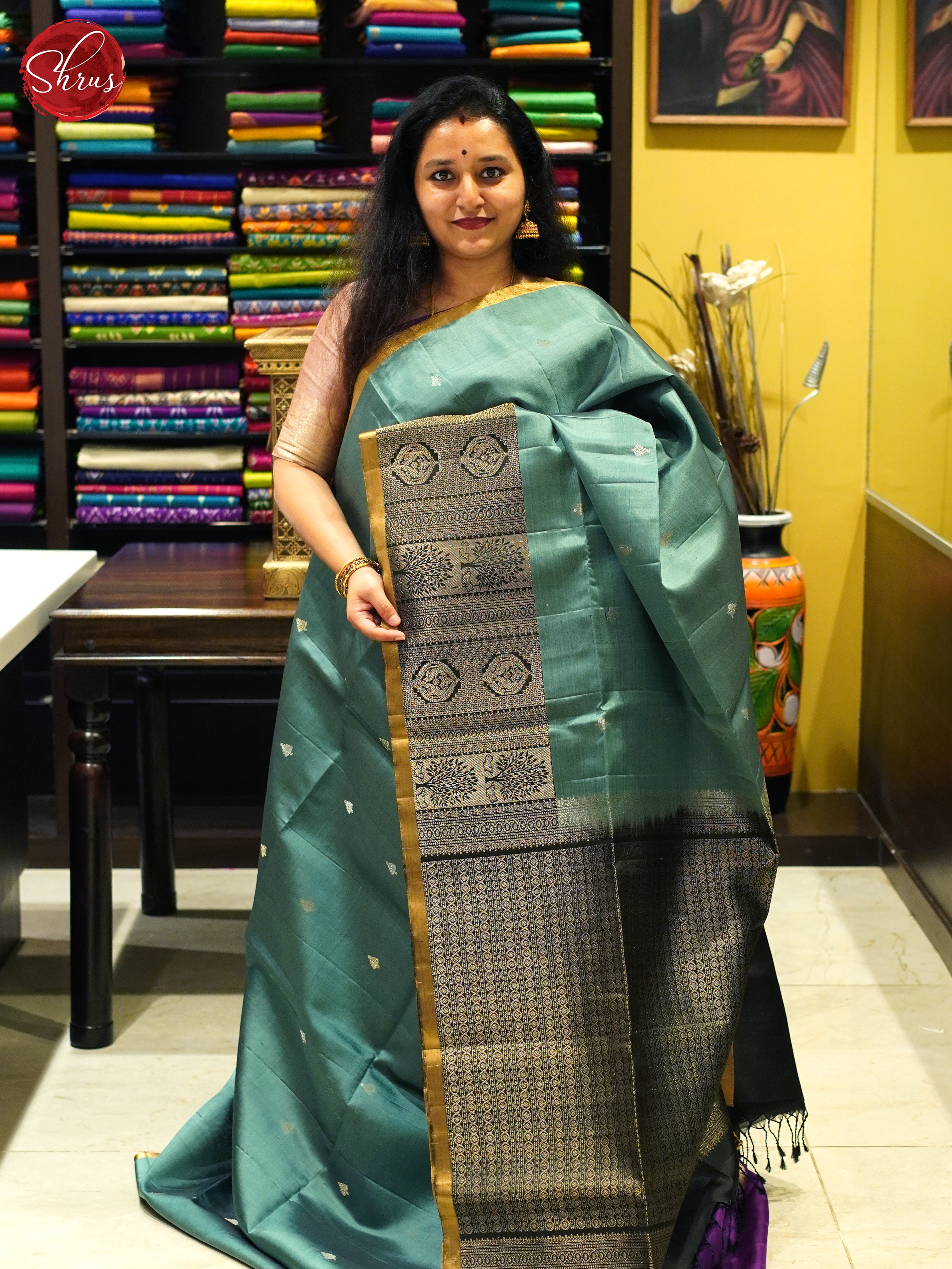 Pastel Greenish Blue And Black- Soft Silk Saree - Shop on ShrusEternity.com