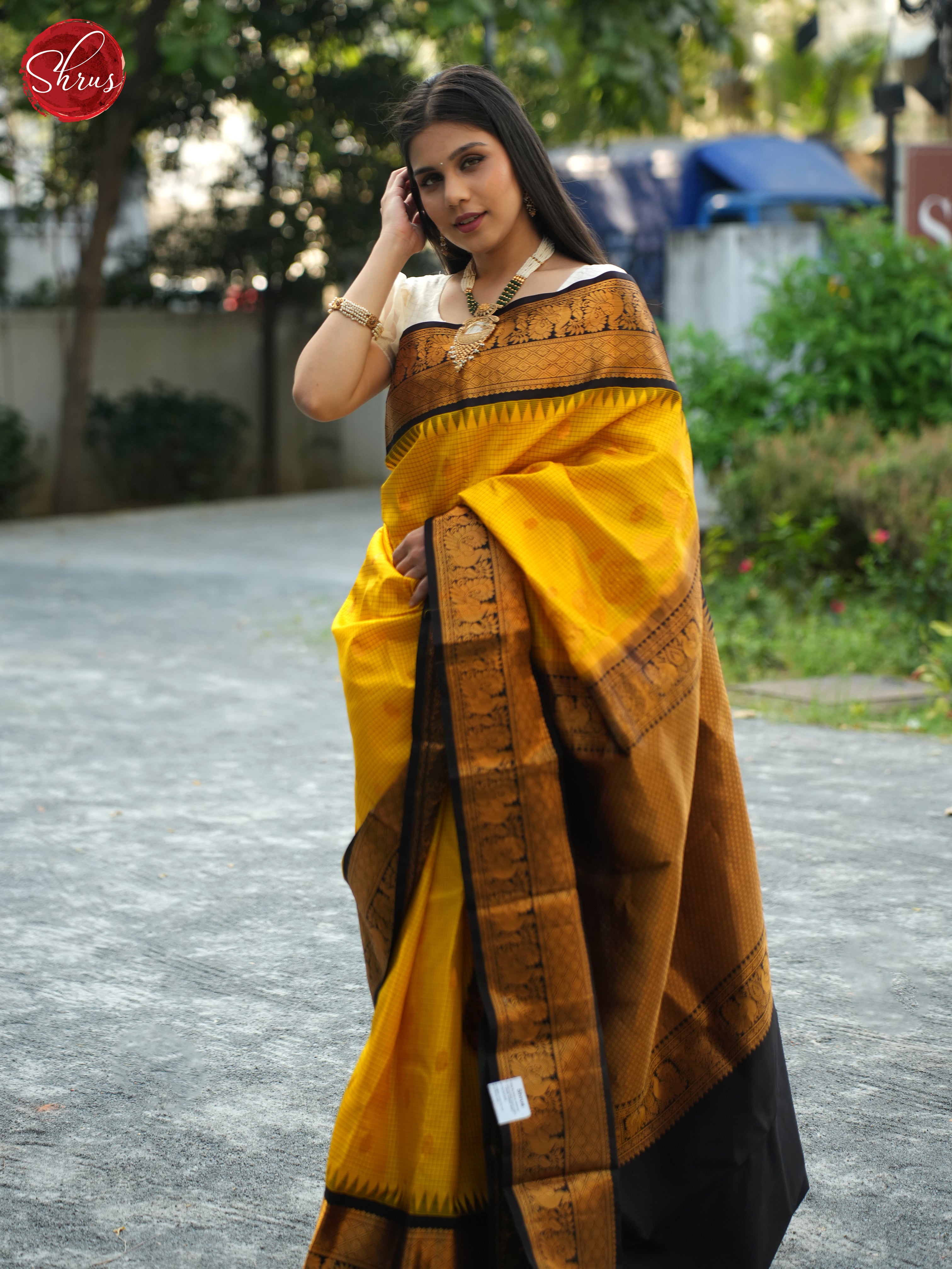 Yellow And Brown- Gadwal Silk Saree - Shop on ShrusEternity.com