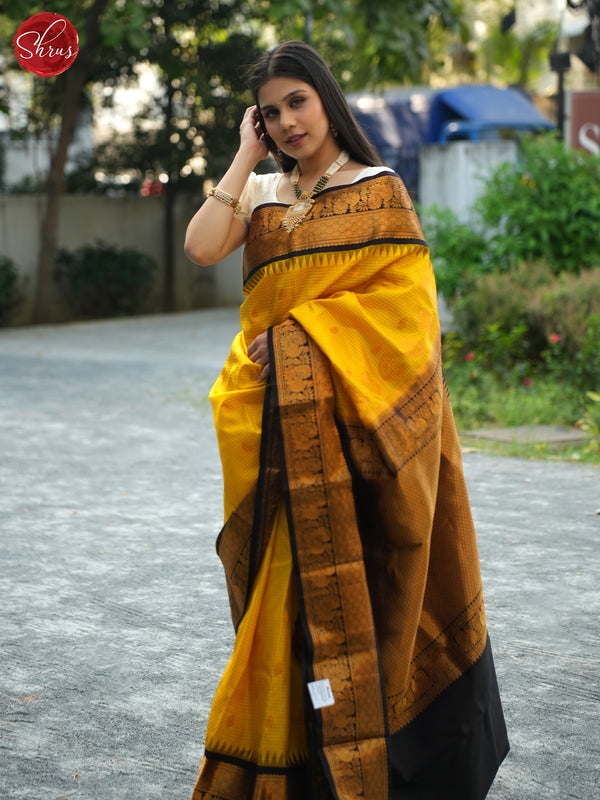 Gadwal Silk Sarees – GoCoop