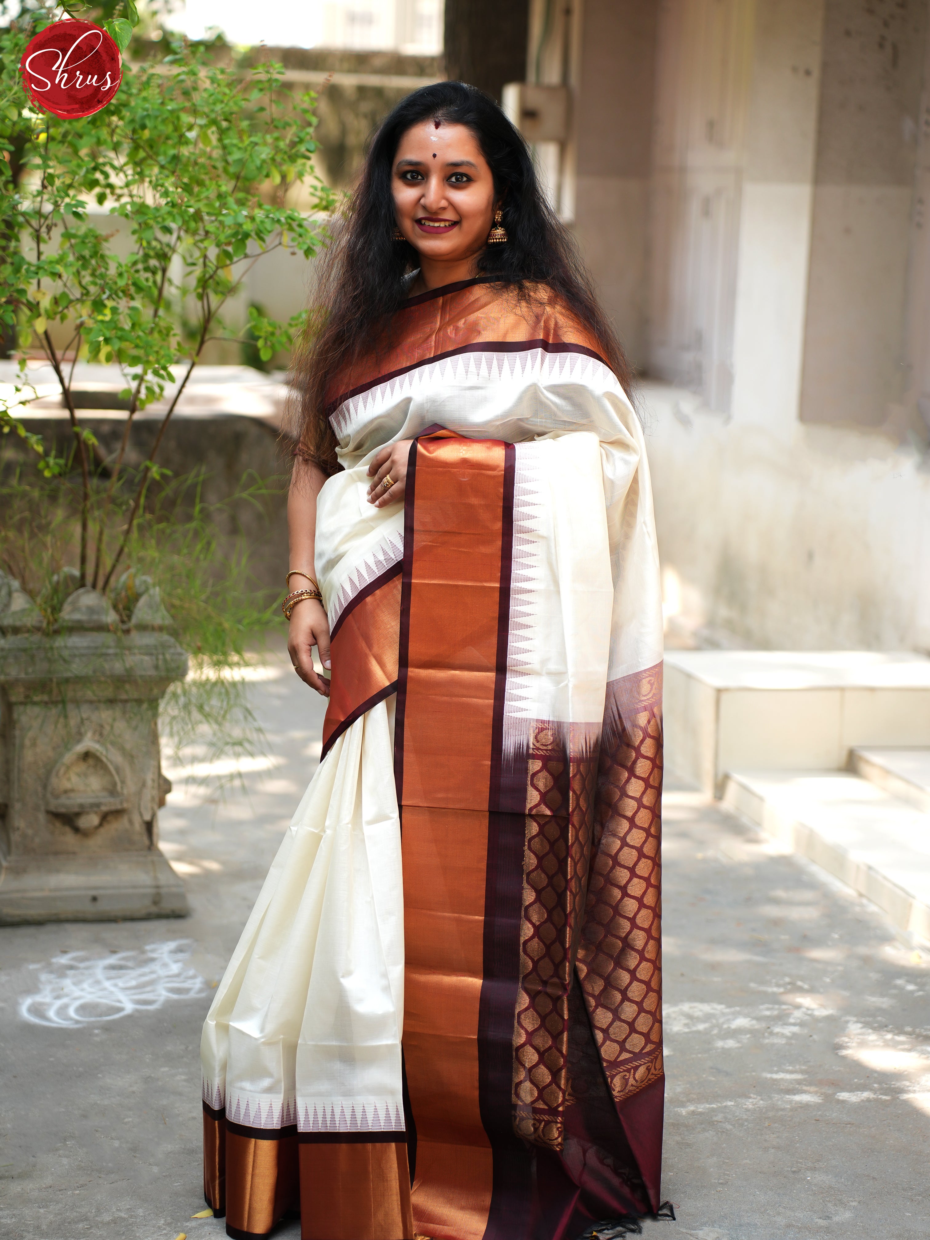 Cream And Brown- Silk Cotton Saree - Shop on ShrusEternity.com