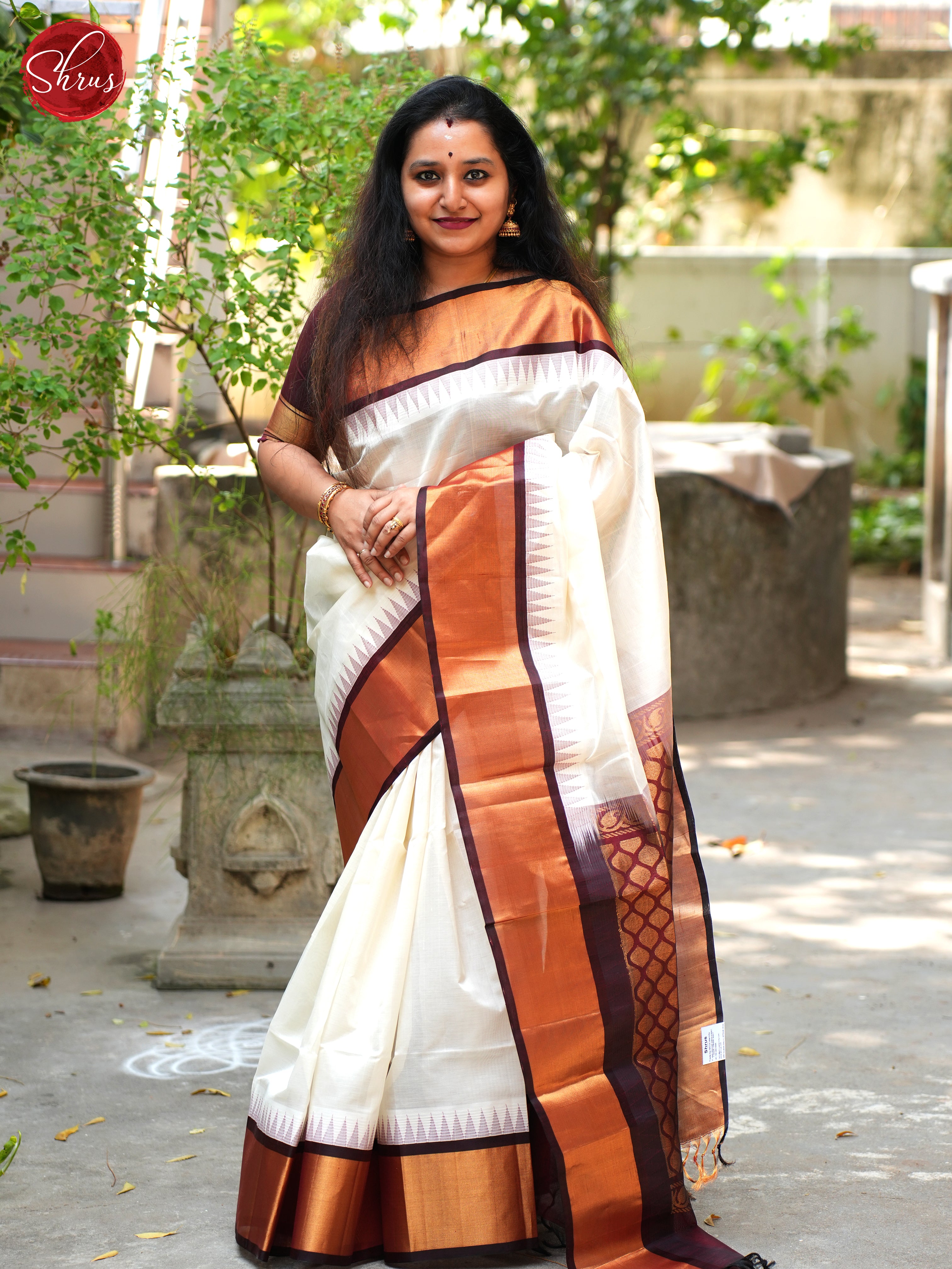 Cream And Brown- Silk Cotton Saree - Shop on ShrusEternity.com