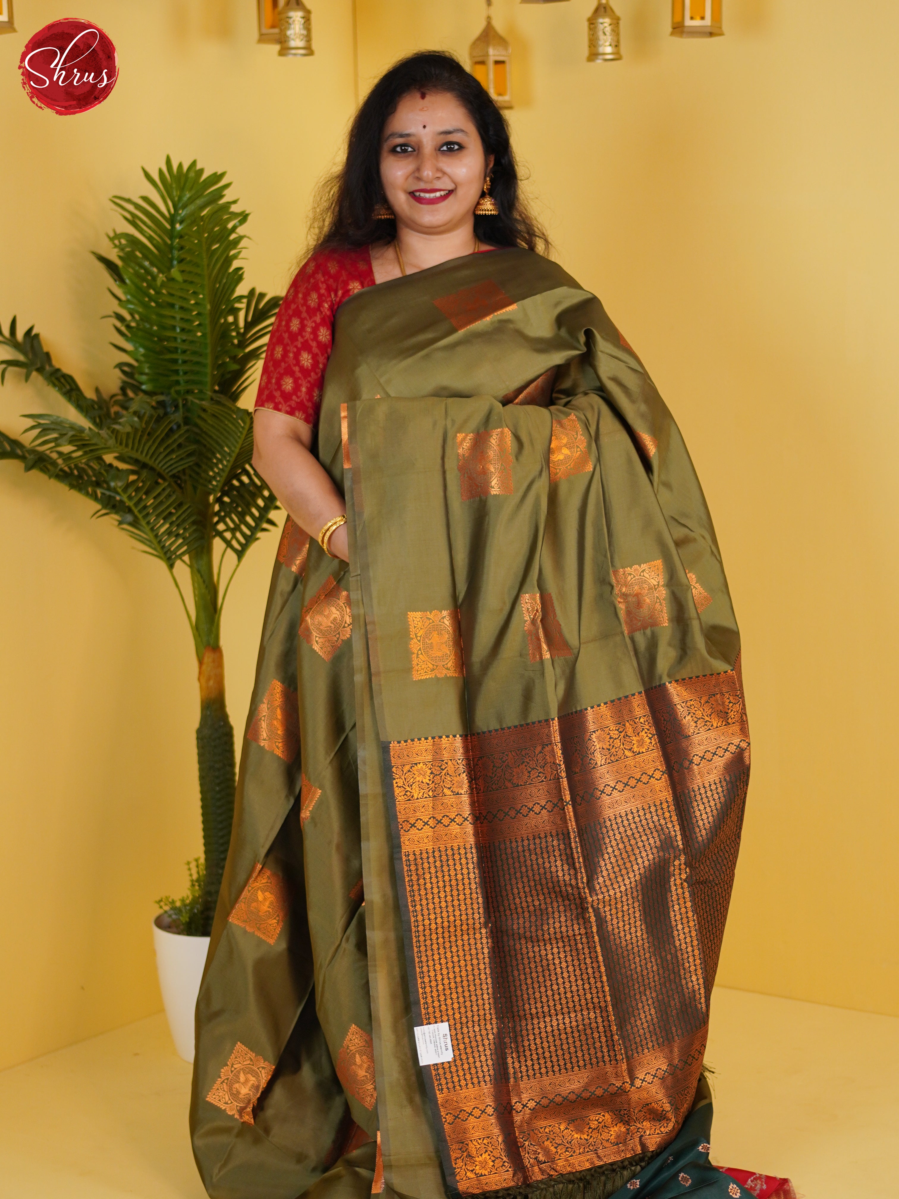 Greenish Grey & Green- Semi Softsilk Saree - Shop on ShrusEternity.com