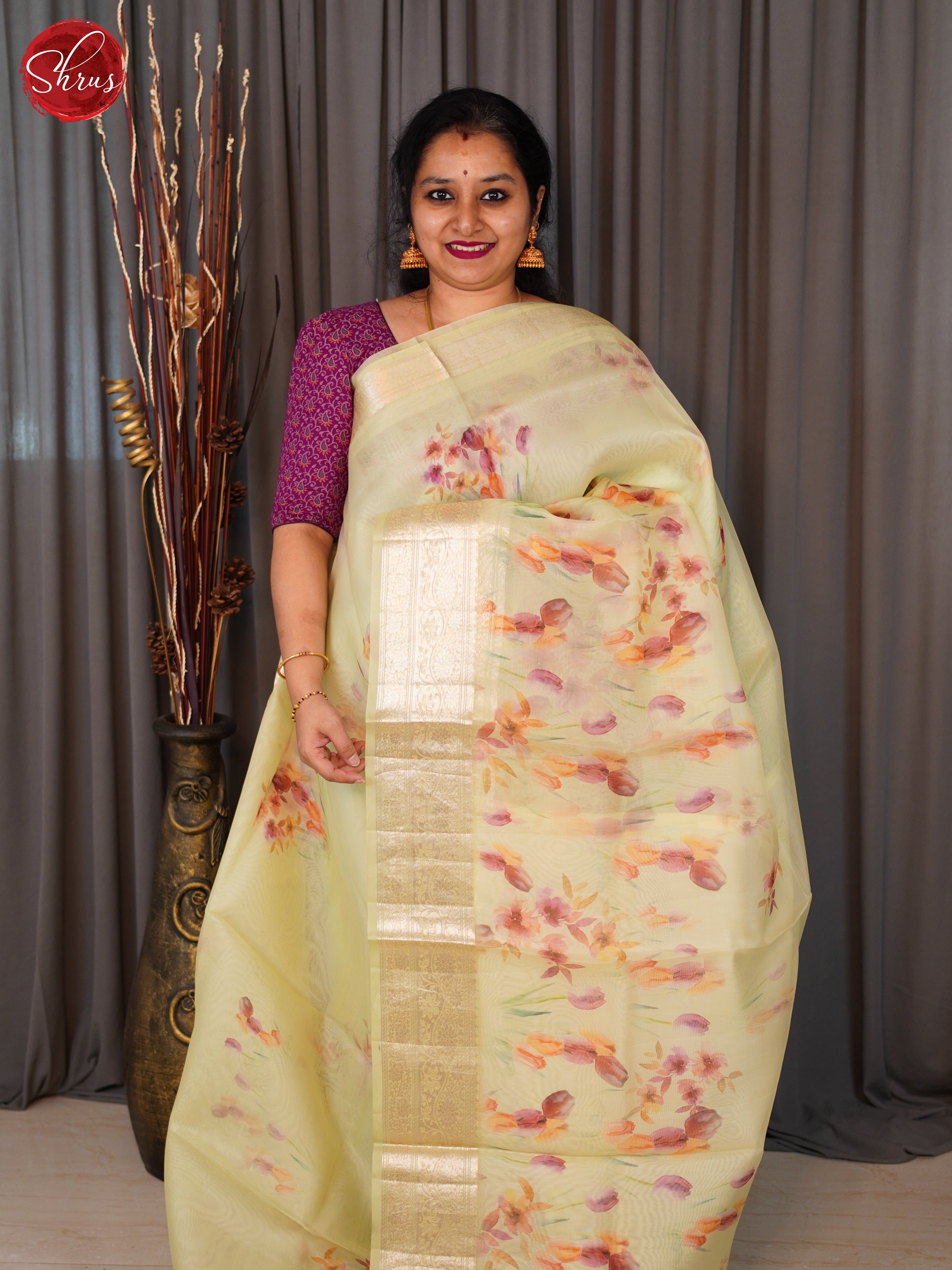 Light Green(Single Tone)-  Organza with floral print on the body and zari border - Shop on ShrusEternity.com