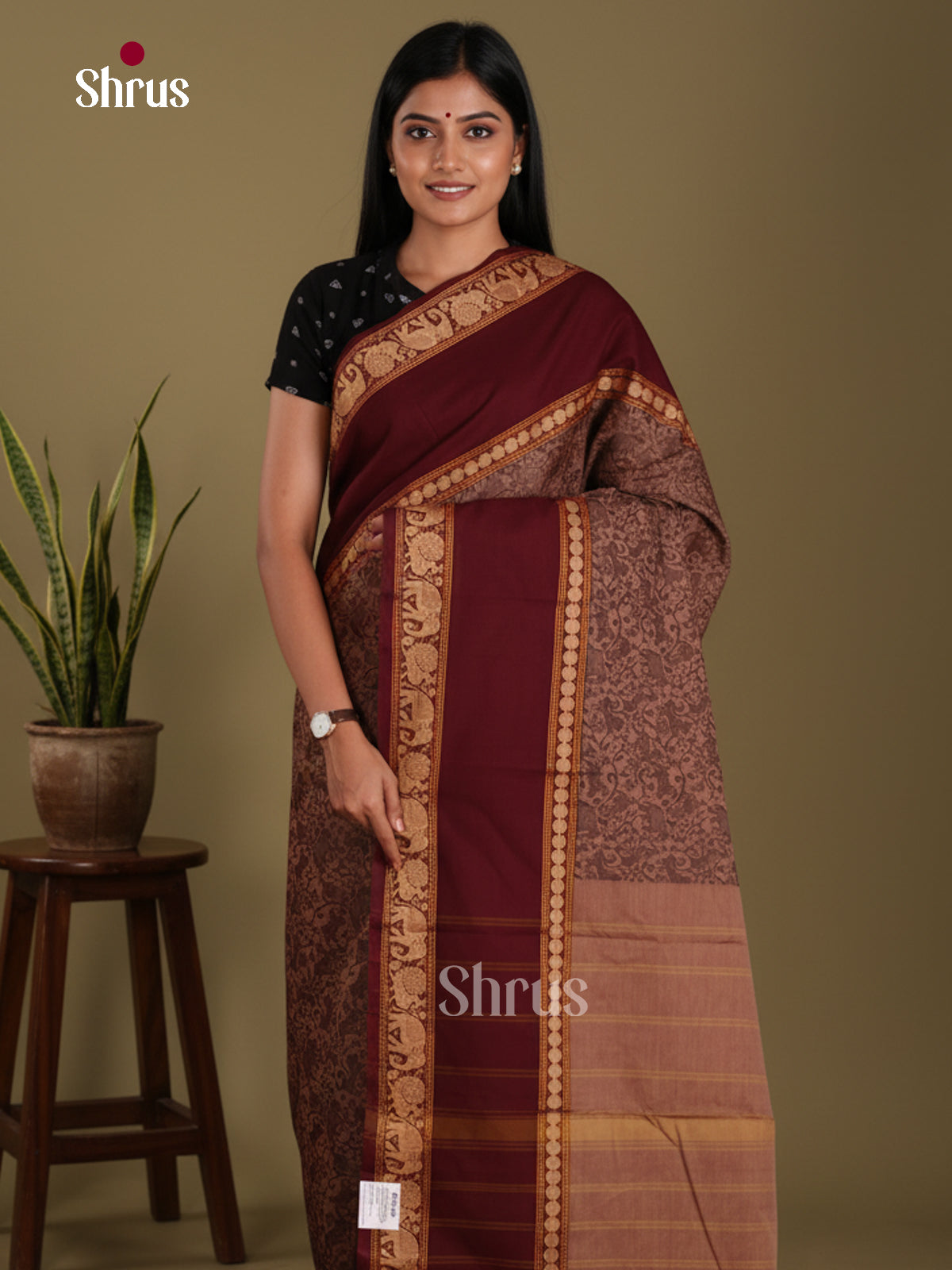 DJS24519 - Kanchi Cotton Saree