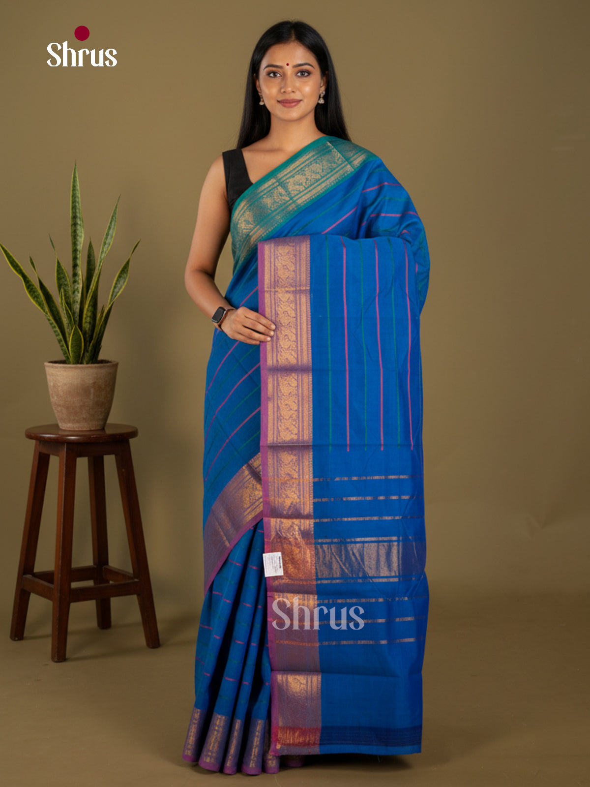 Blue & Purple - Chettinad Cotton Saree-EAS03003 - Shop on Shrus.com