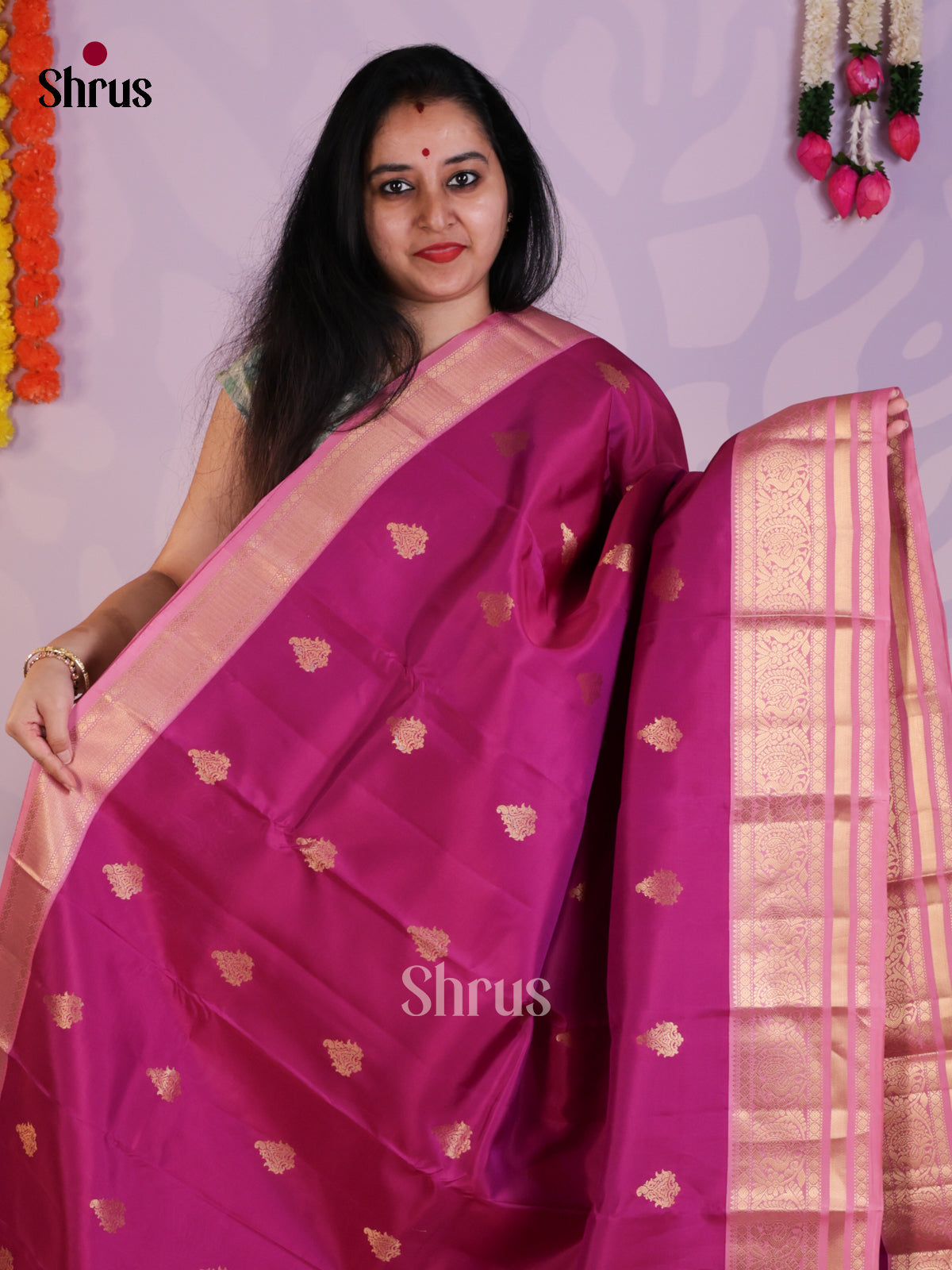 EAS08292 - Kanchipuram-halfpure Saree - Shop on Shrus.com