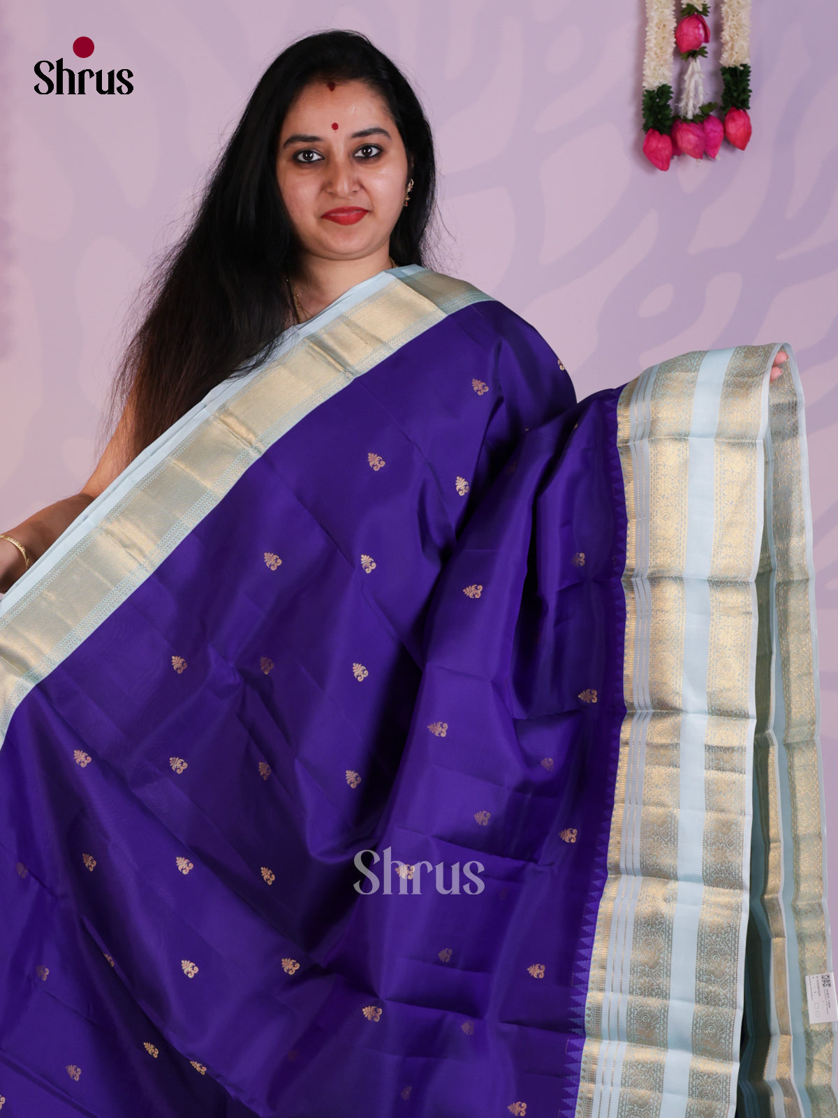 Blue & Ice Blue - Kanchipuram-halfpure Saree - EAS08329 - Shop on Shrus.com
