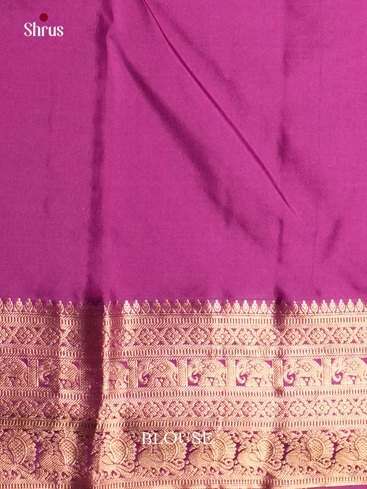 EAS10059 - Kanchipuram silk Saree