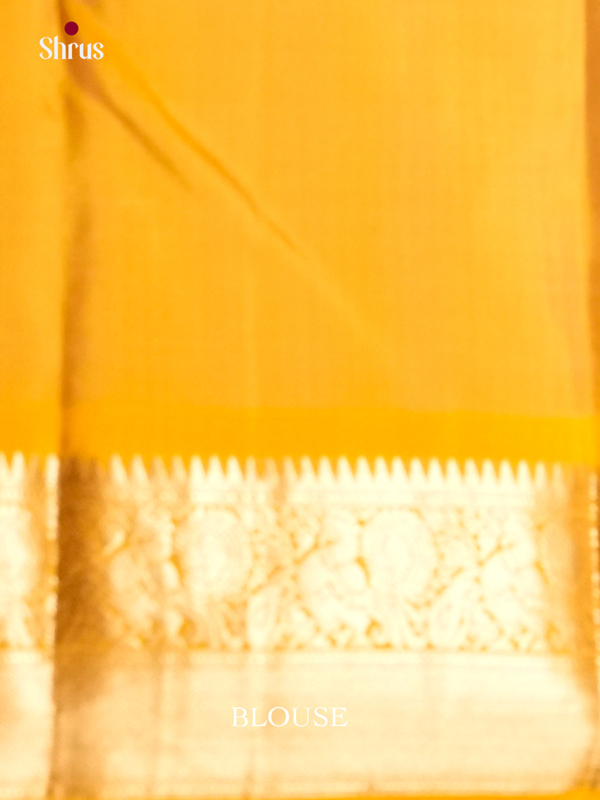 EAS10072 - Kanchipuram silk Saree