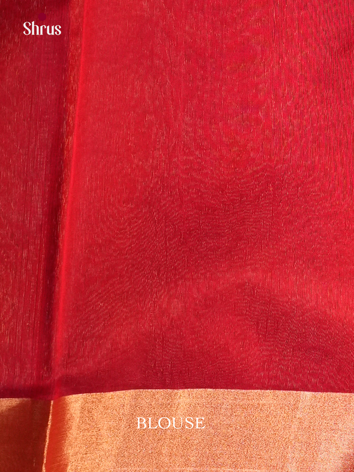 Blue & Red - Timeless Silk Cotton Saree -  EAS12014