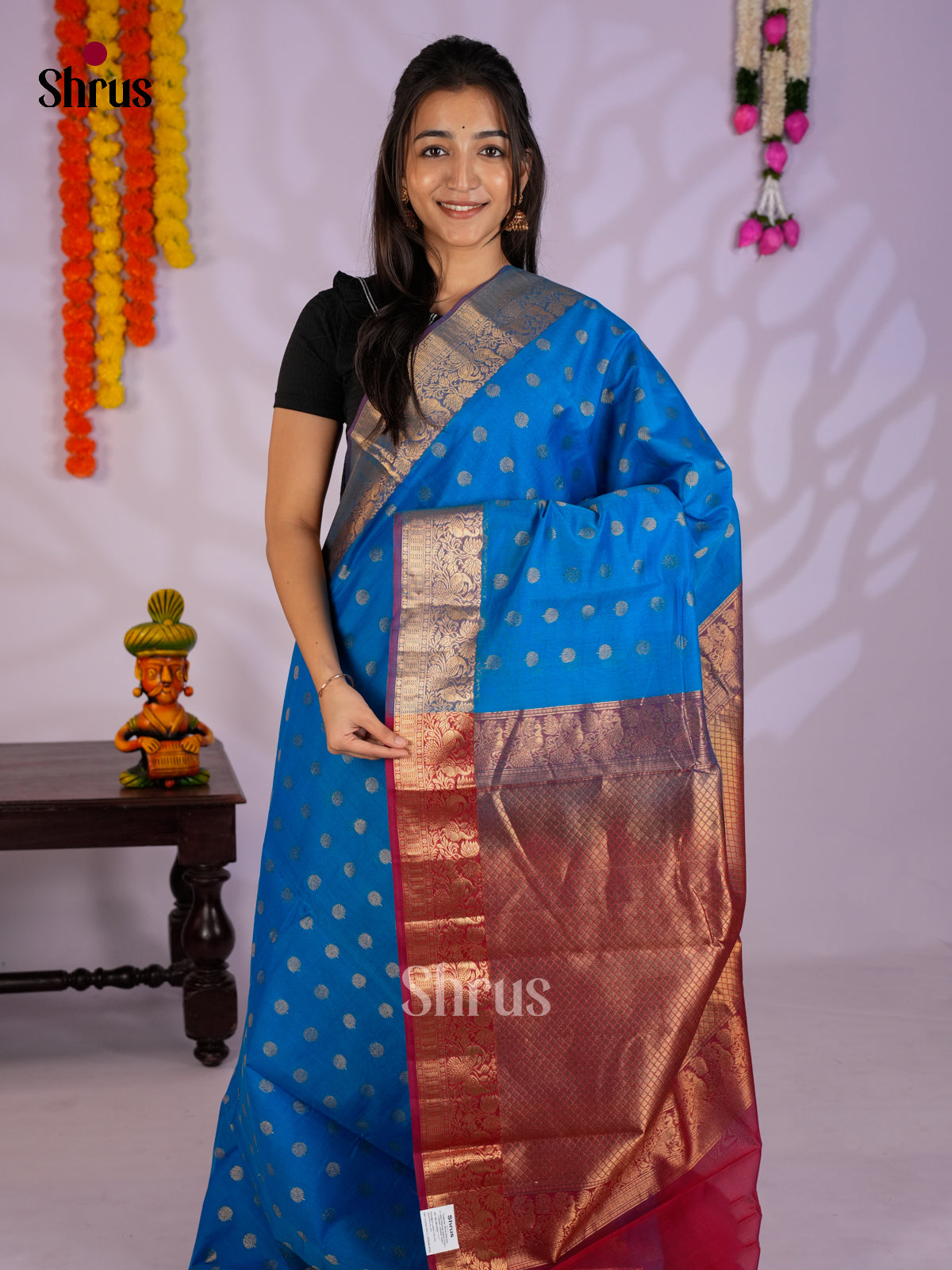 Blue & Maroon - Timeless Silk Cotton Saree -EAS12099