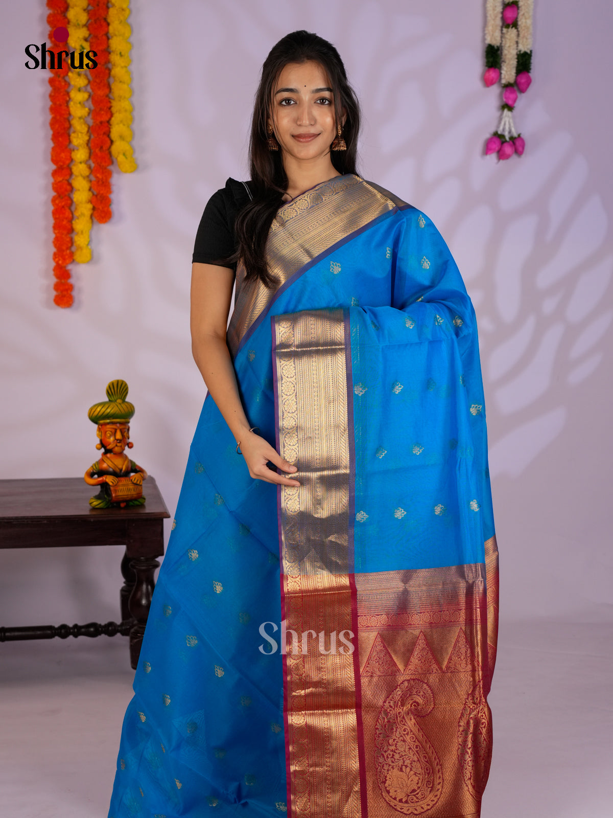 Blue & Red - Timeless Silk Cotton Saree- EAS12117