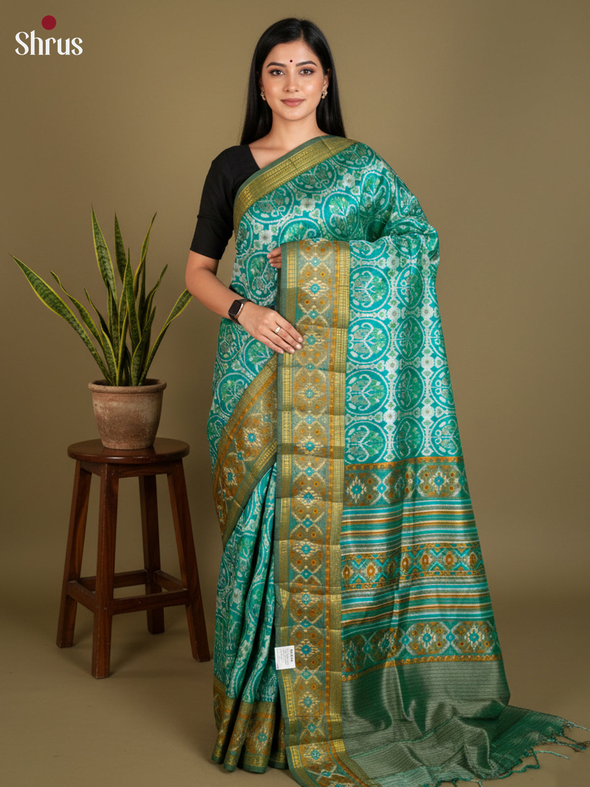 EAS12165 - Semi Patola -Rettapet border Saree - Shop on Shrus.com