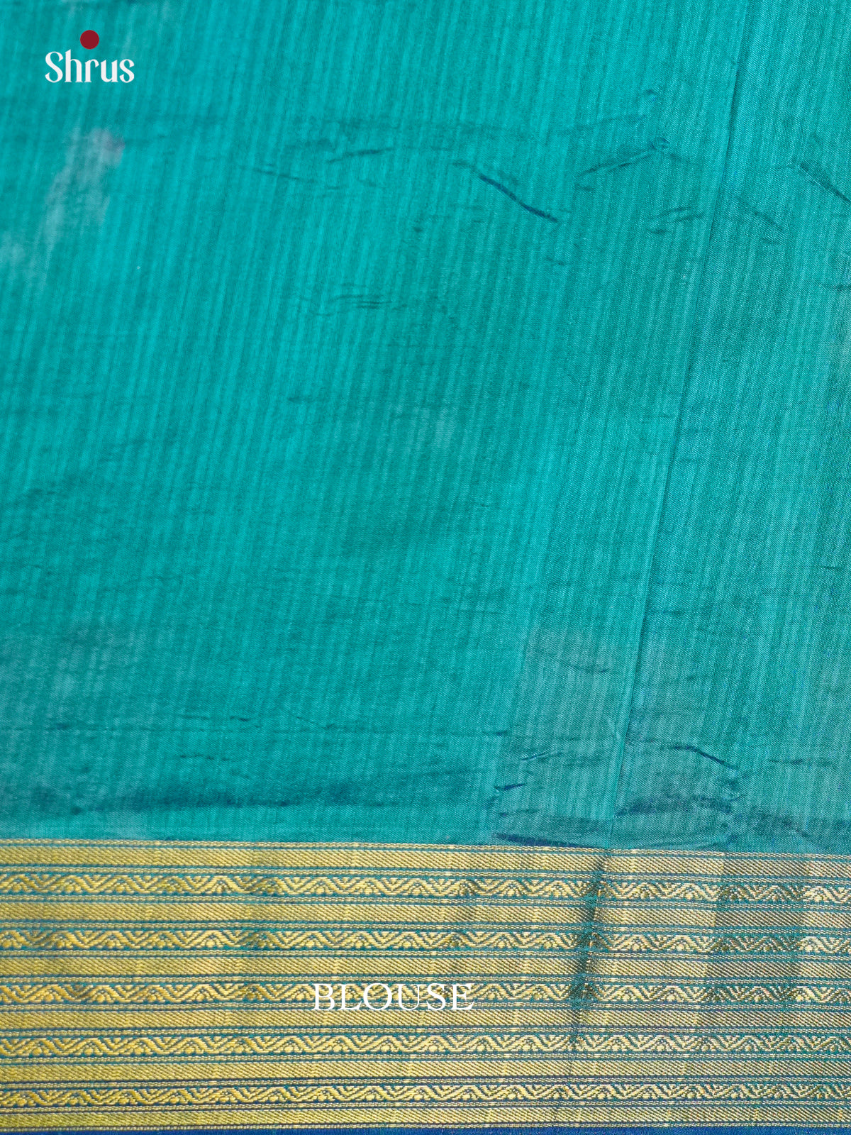 EAS12189 - Semi Patola-Regular Border Saree