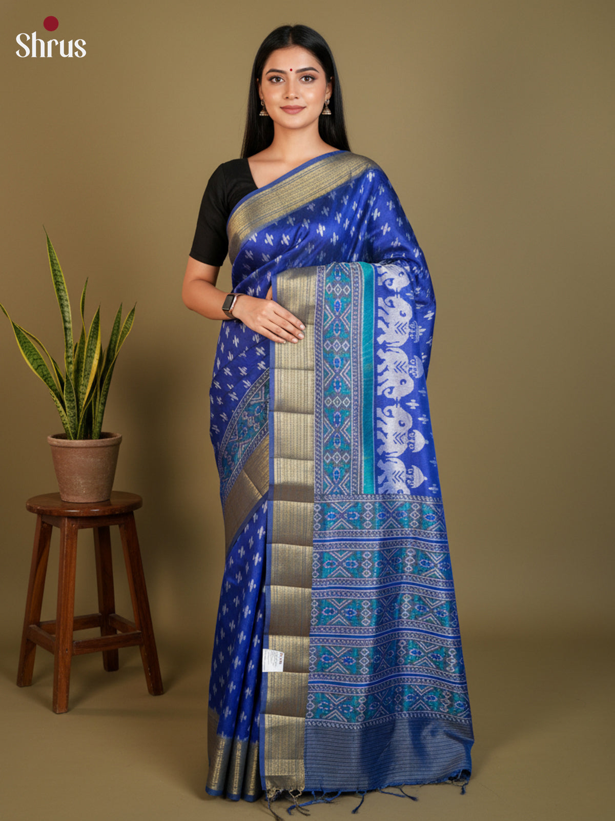 EAS12195 - Semi Patola-Regular Border Saree