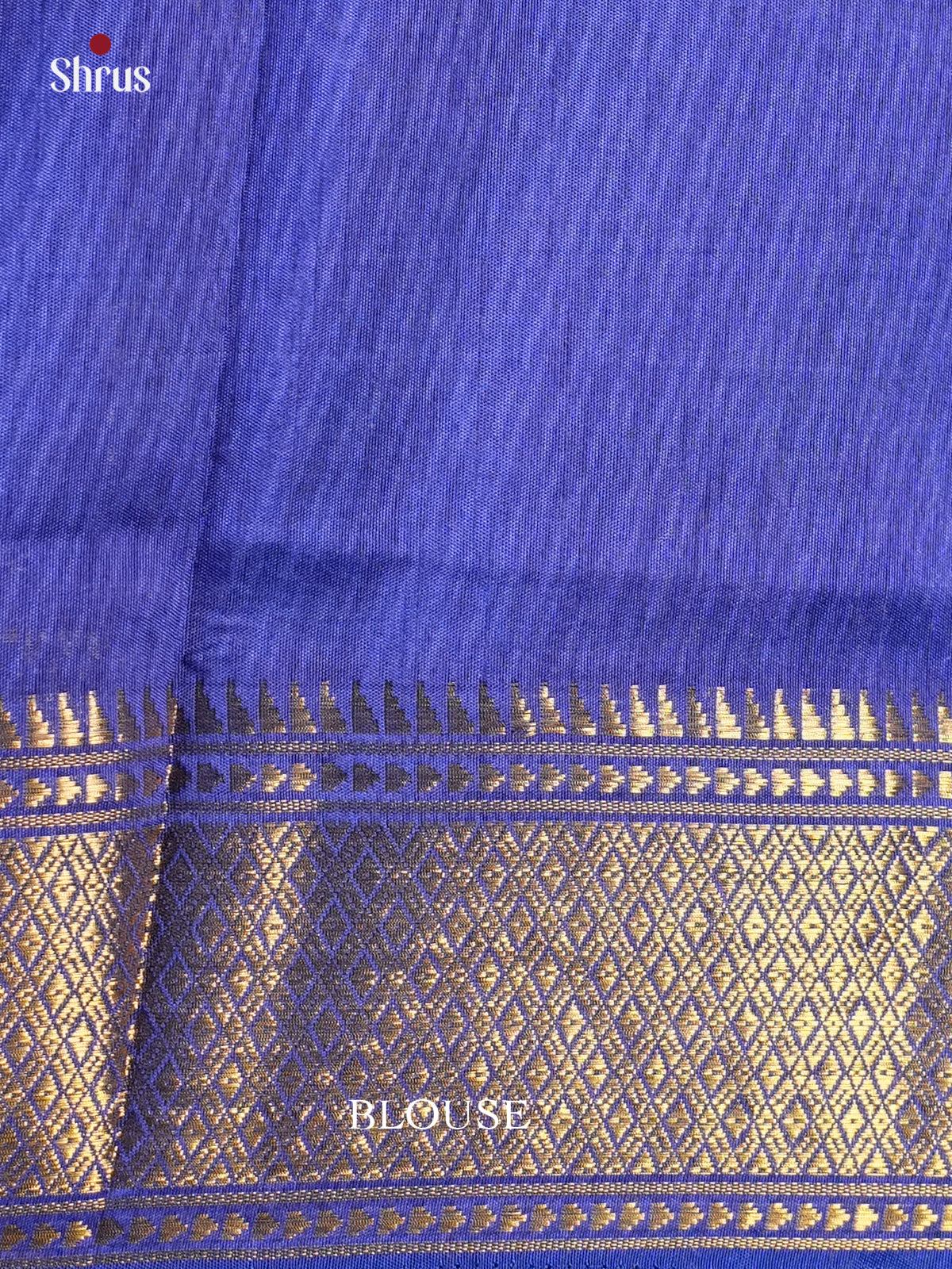 EAS12201 - Semi Patola-Regular Border Saree