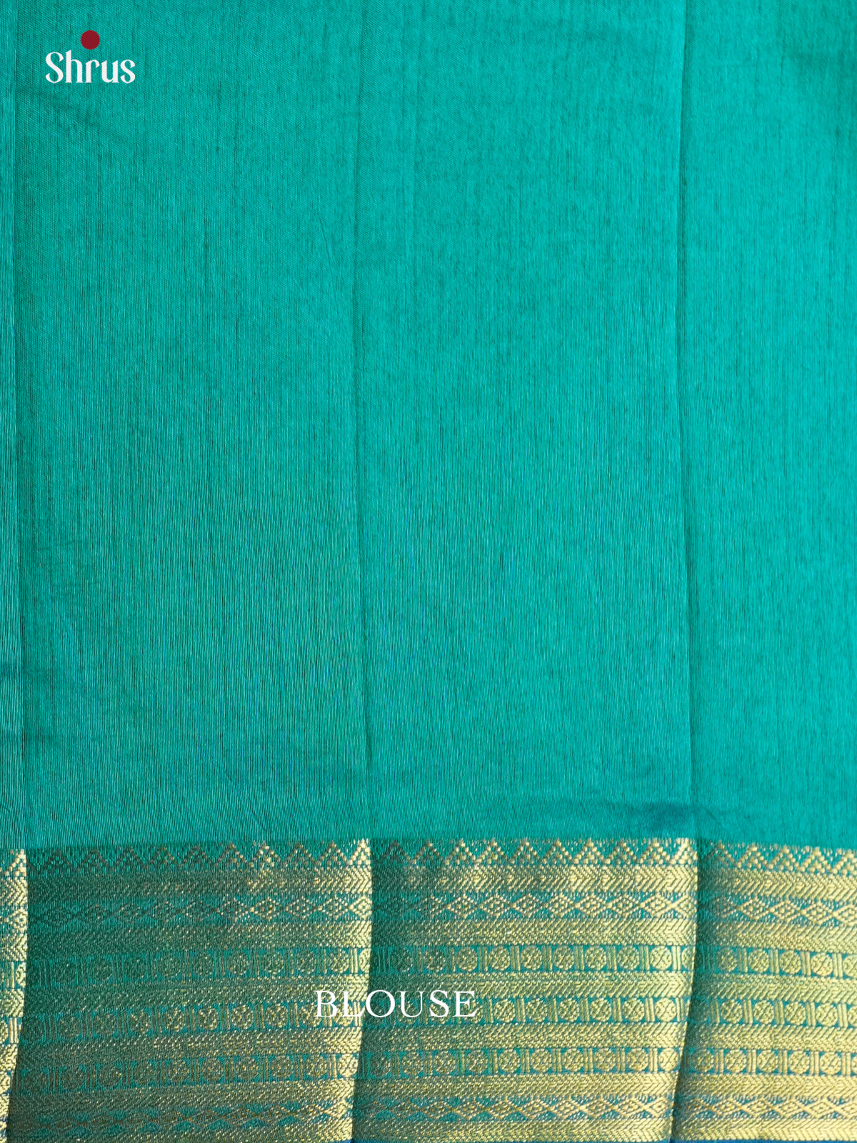 EAS12203 - Semi Patola-Regular Border Saree