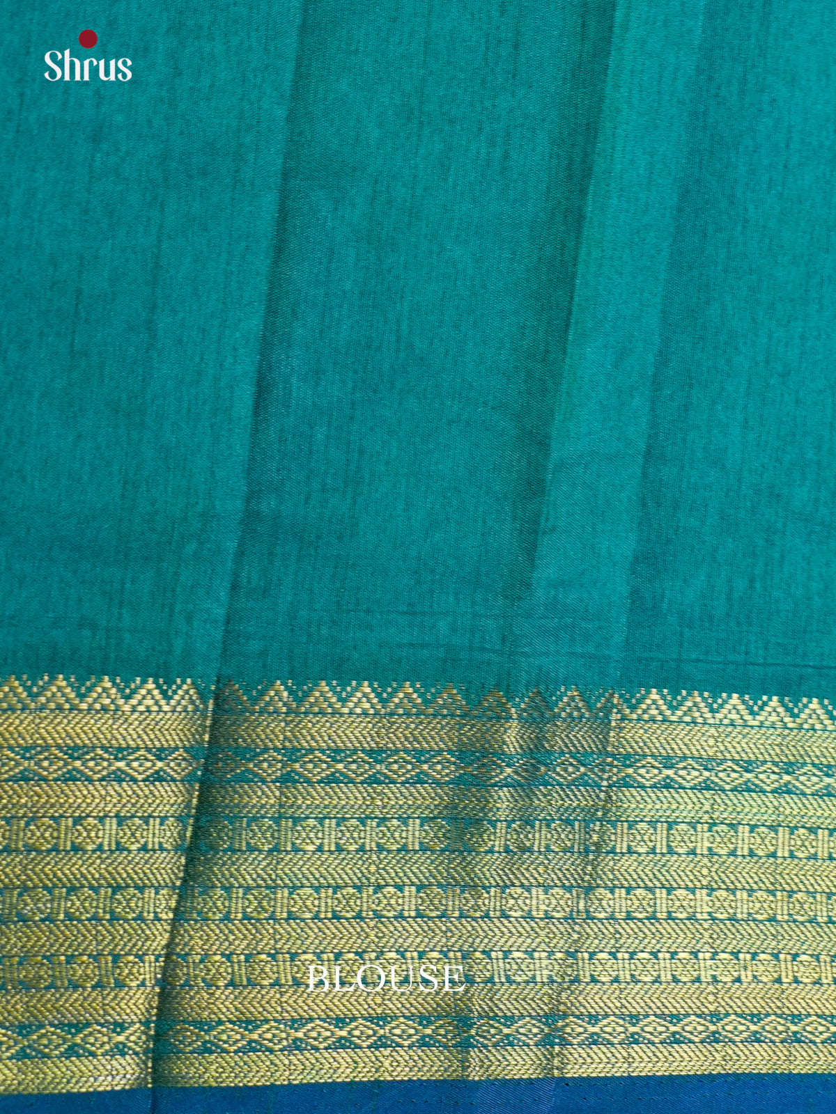 EAS12209 - Semi Patola -Rettapet border Saree - Shop on Shrus.com